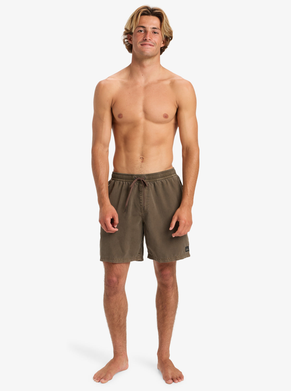 Mens Everyday Surfwash 17" Swim Shorts - Quiksilver Singapore 