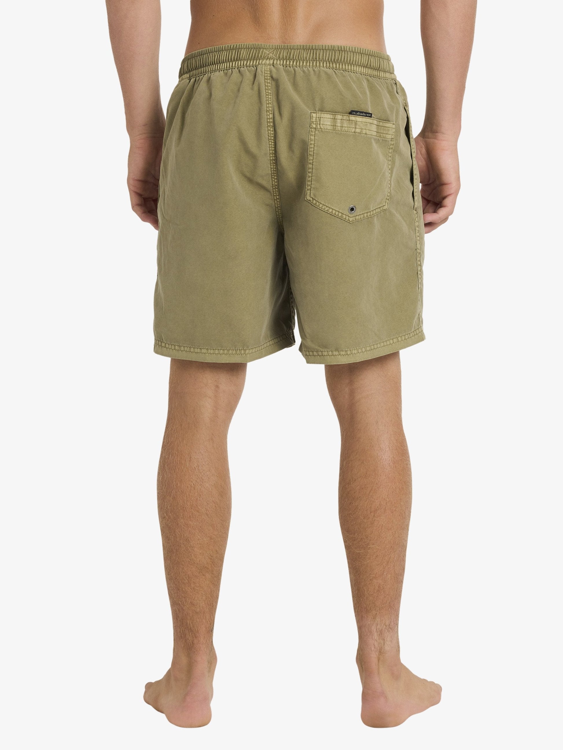 Mens Everyday Surfwash Volley Swim Shorts - Quiksilver Singapore 