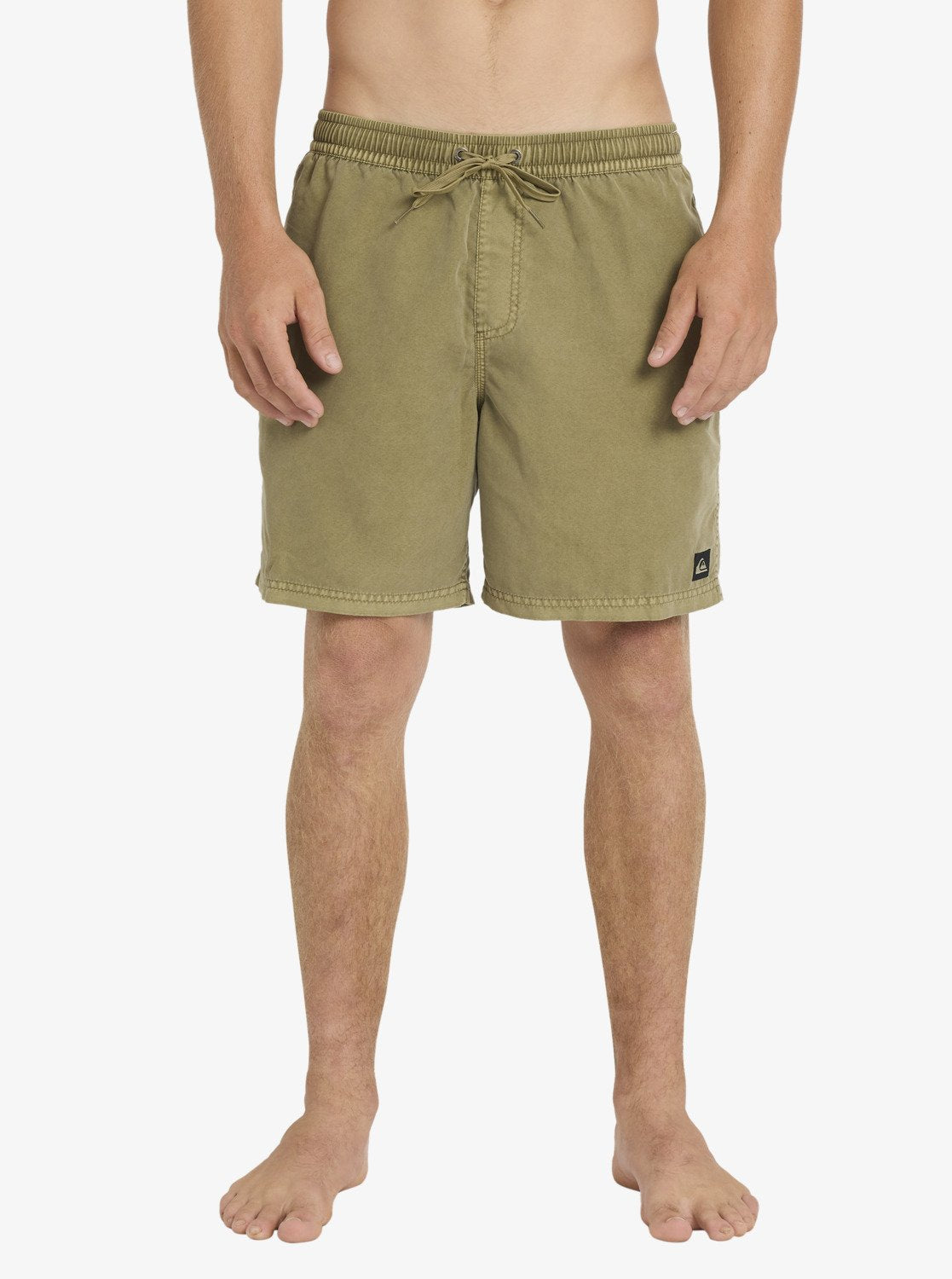 Mens Everyday Surfwash Volley Swim Shorts - Quiksilver Singapore 