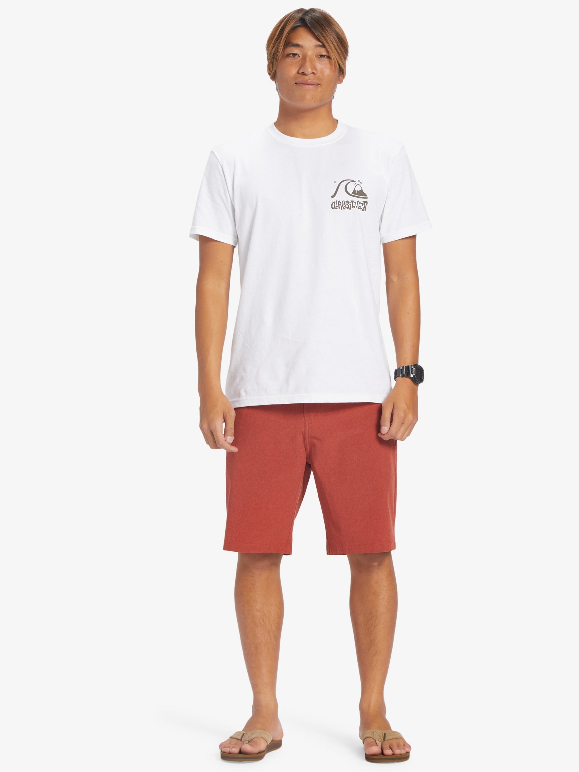 Mens Union Heather 20" Amphibian Boardshorts - Quiksilver Singapore 