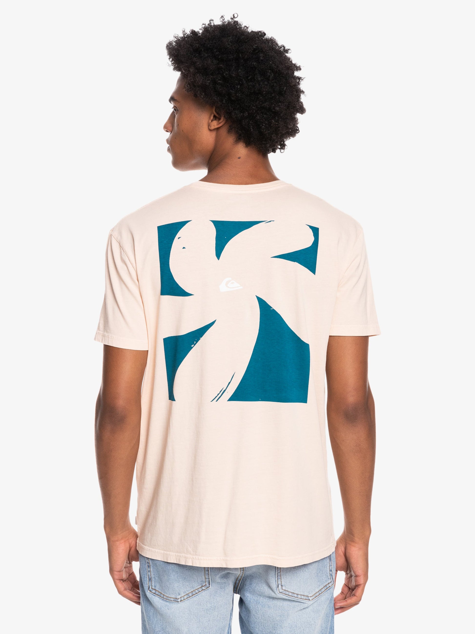 Mens Big Island T-Shirt - Quiksilver Singapore 