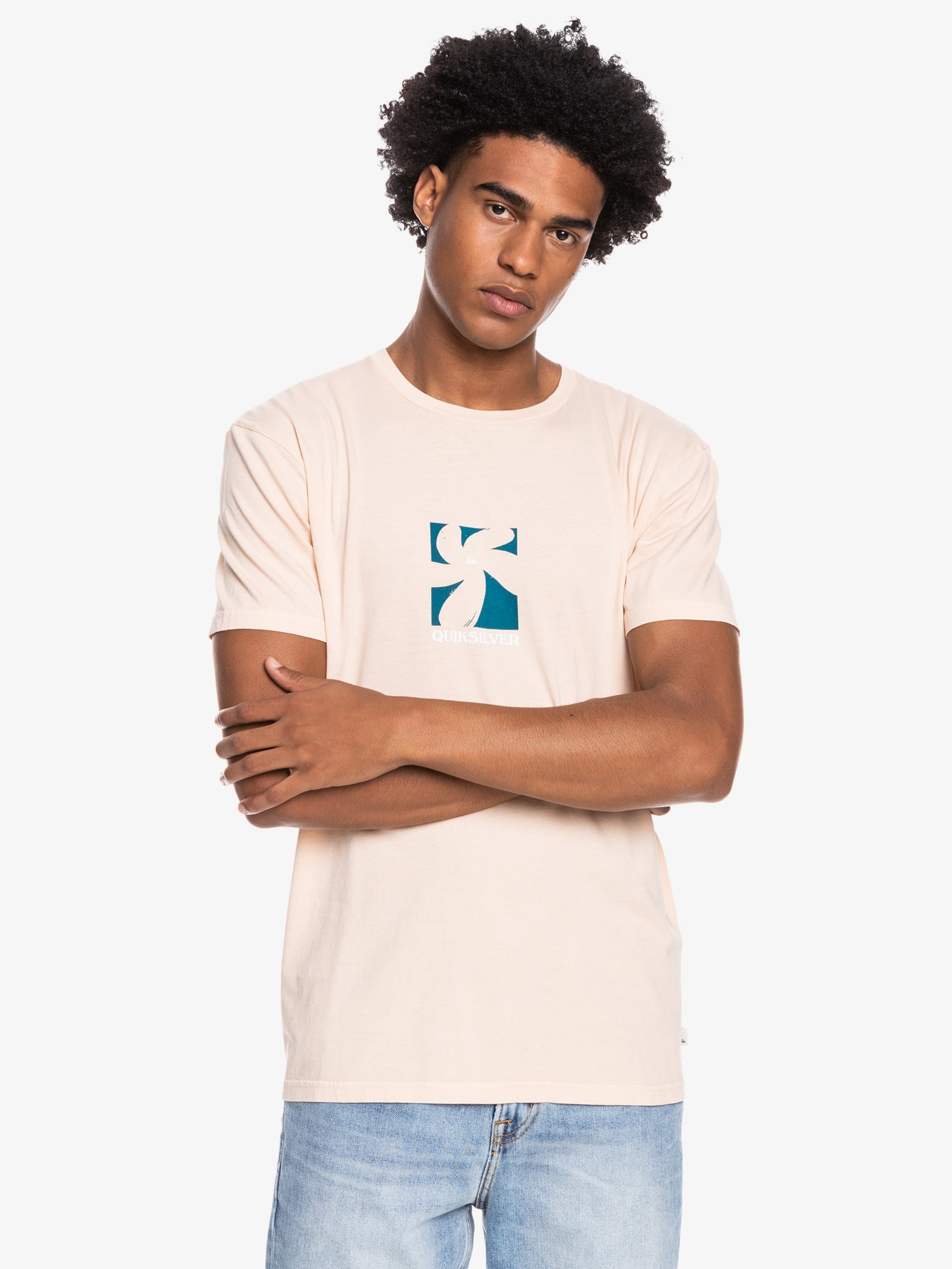 Mens Big Island T-Shirt - Quiksilver Singapore 