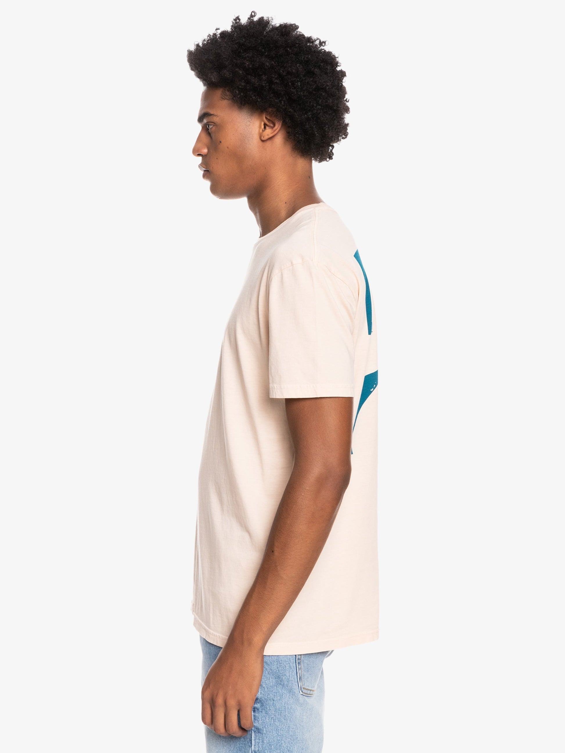 Mens Big Island T-Shirt - Quiksilver Singapore 