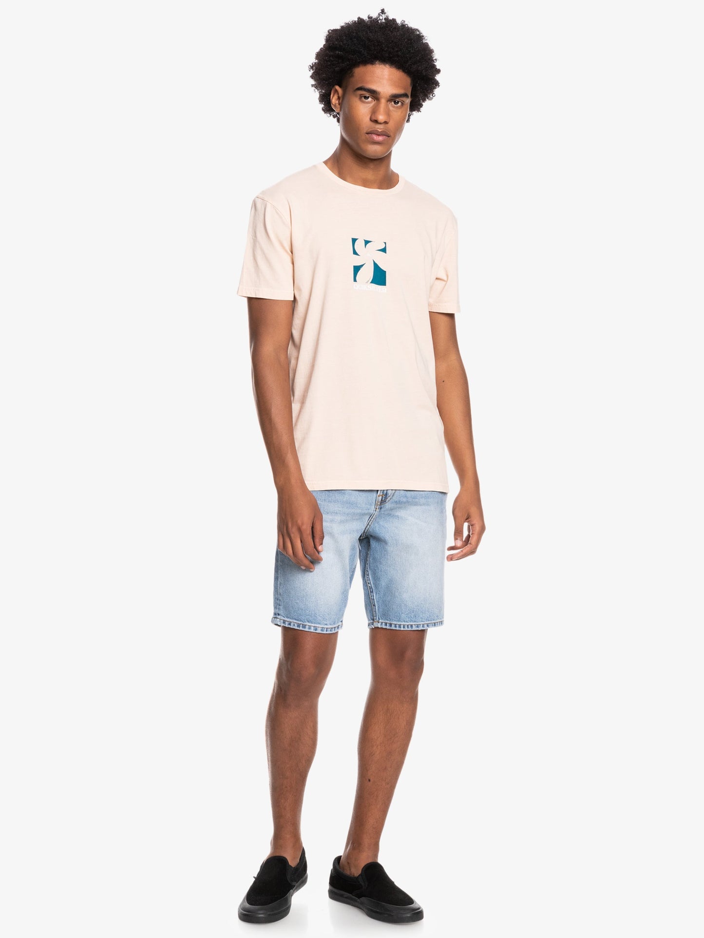 Mens Big Island T-Shirt - Quiksilver Singapore 