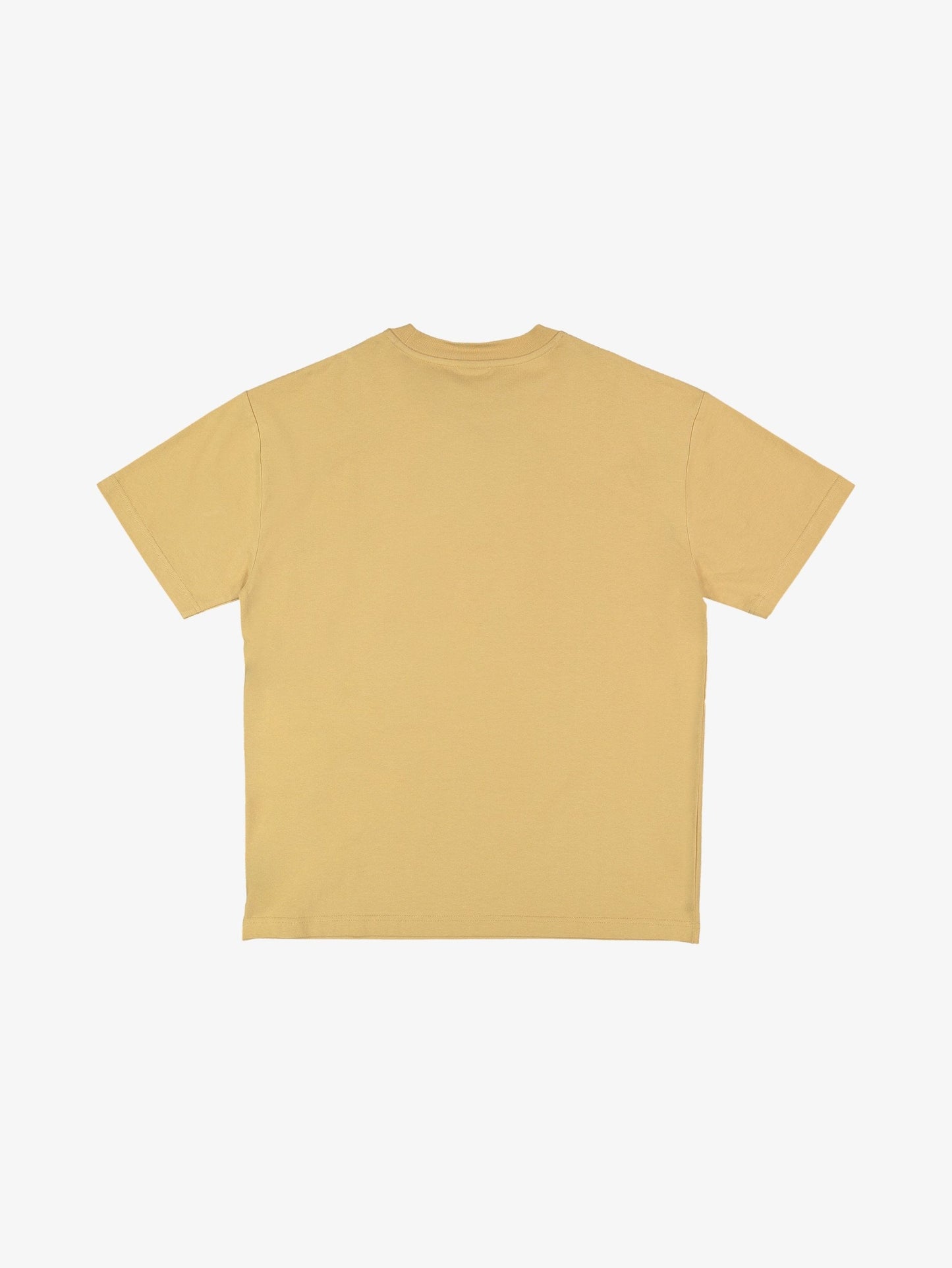 Mens YG Drifter T-Shirt - Quiksilver Singapore 