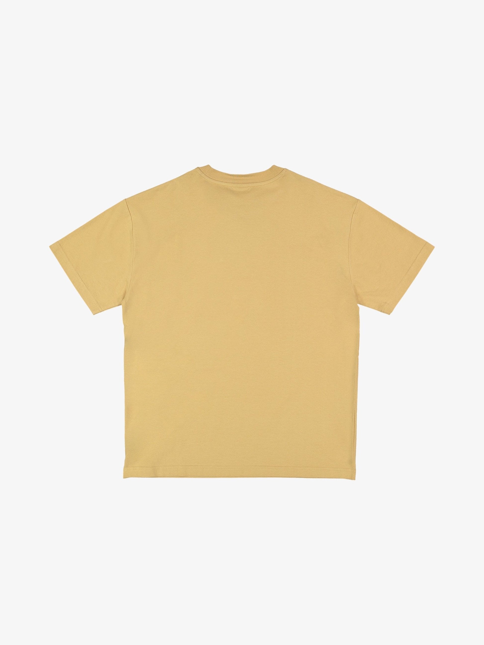 Mens YG Drifter T-Shirt - Quiksilver Singapore 