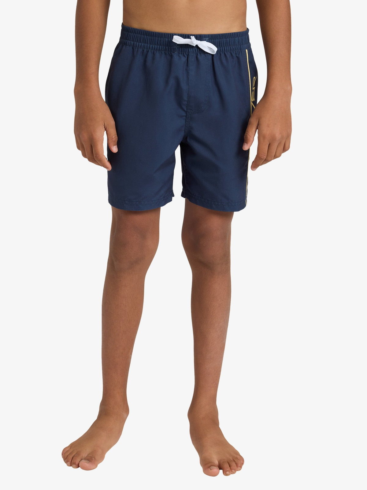 Boys 8-16 Everyday Vert 14 Inch Volley Shorts