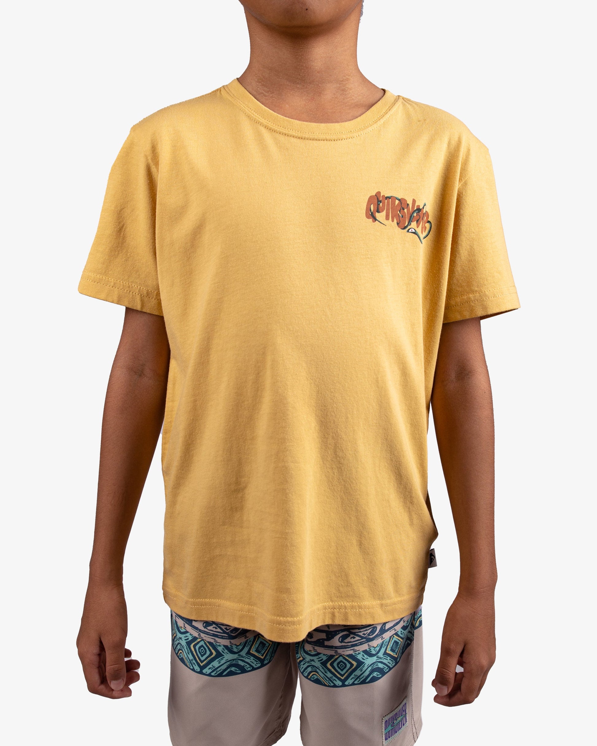 Boys Summer Bloom T-Shirt - Quiksilver Singapore 