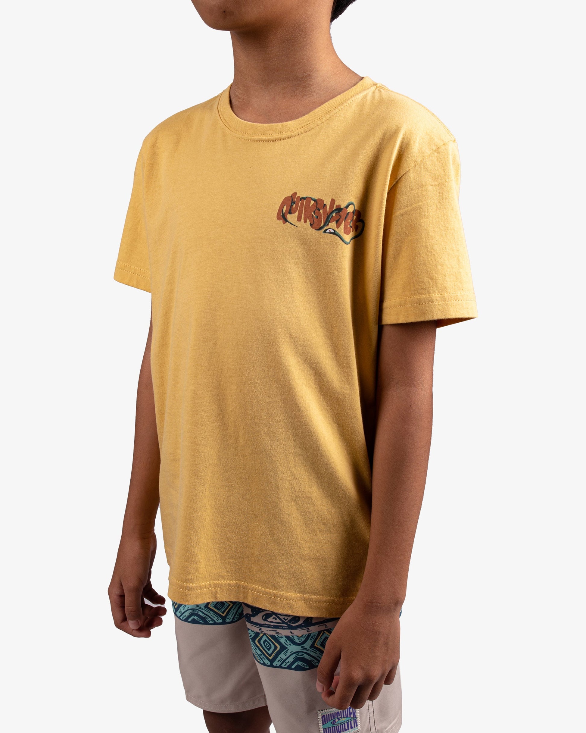 Boys Summer Bloom T-Shirt - Quiksilver Singapore 