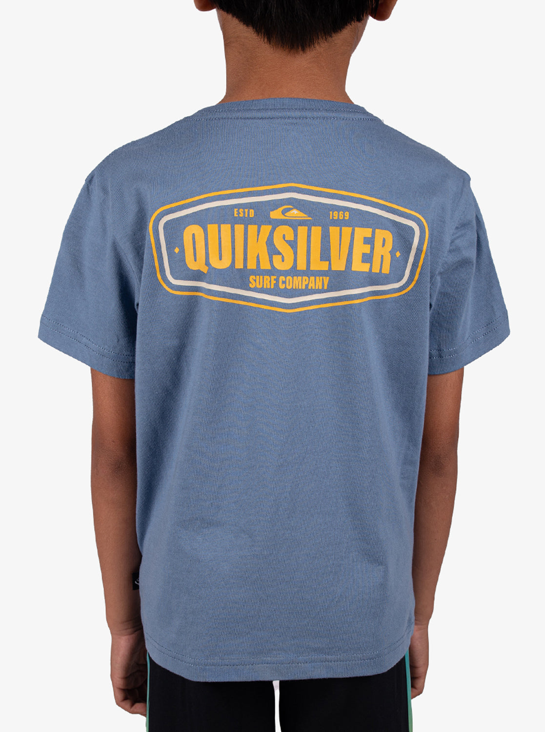 Boys 2-7 Coastal Crest T-Shirt - Quiksilver Singapore 