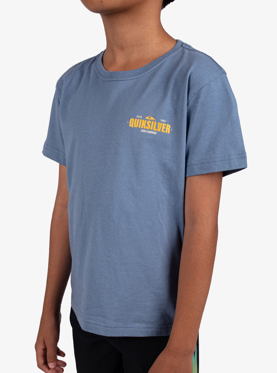 Boys 2-7 Coastal Crest T-Shirt - Quiksilver Singapore 