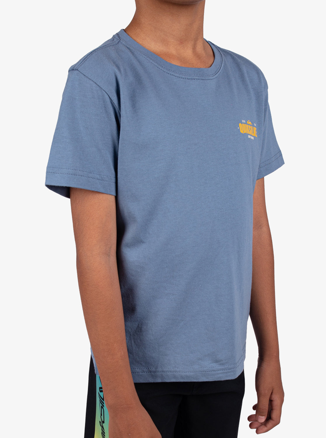 Boys 2-7 Coastal Crest T-Shirt - Quiksilver Singapore 