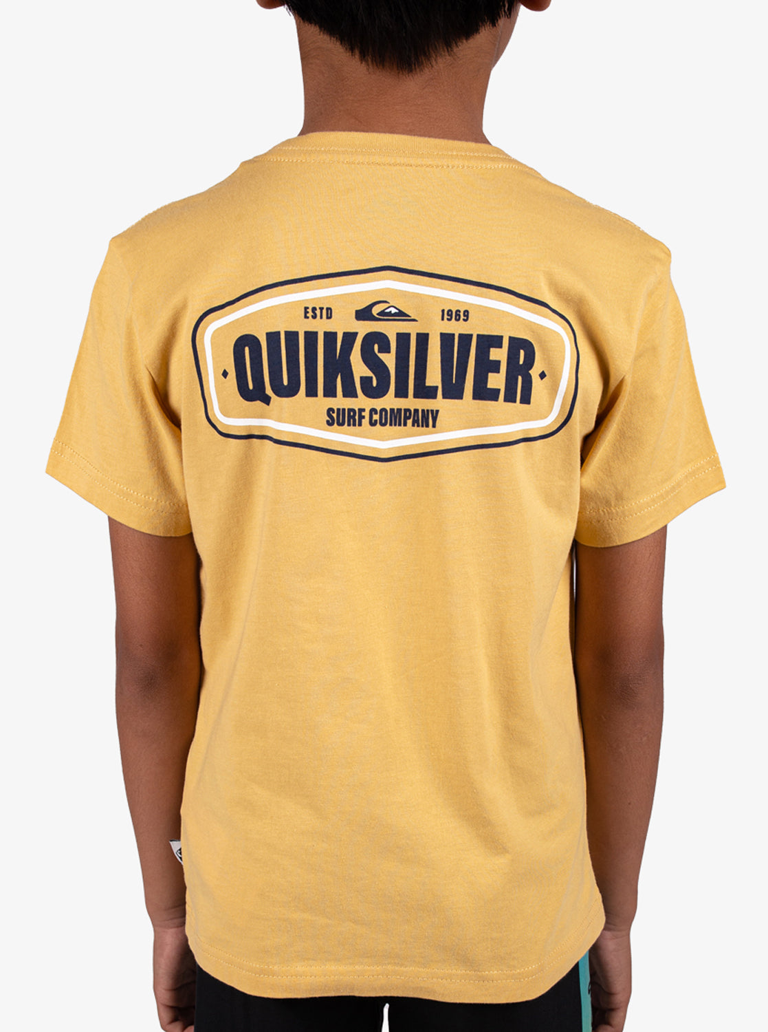 Boys 2-7 Coastal Crest T-Shirt - Quiksilver Singapore 