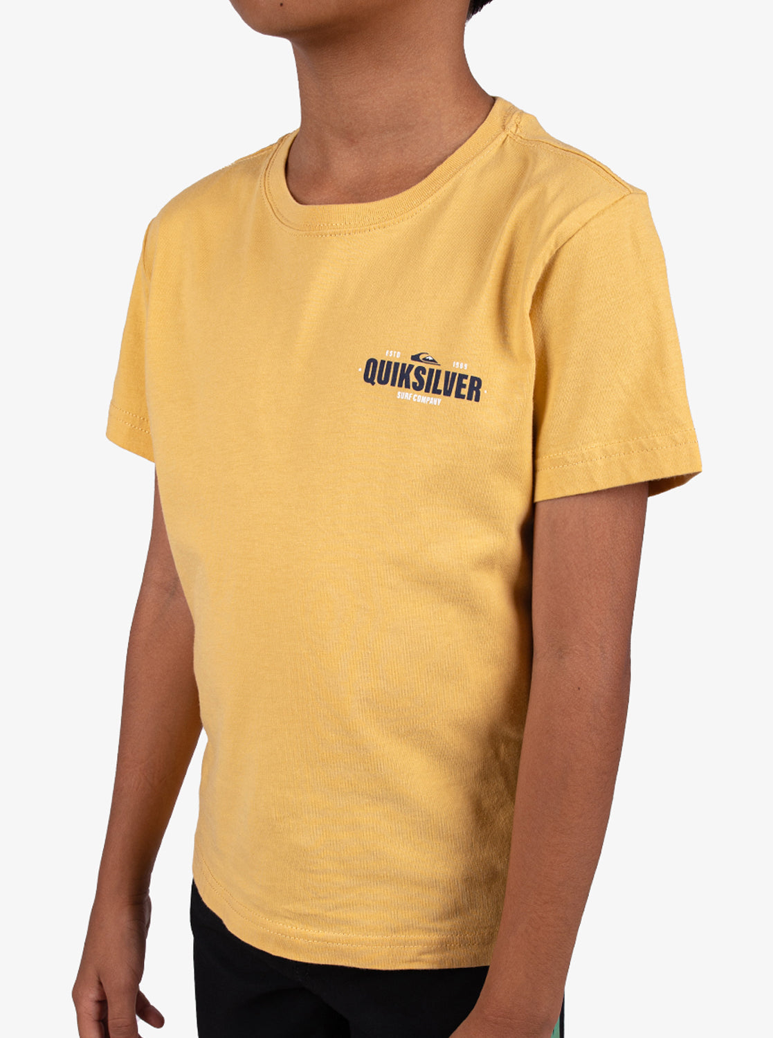 Boys 2-7 Coastal Crest T-Shirt - Quiksilver Singapore 