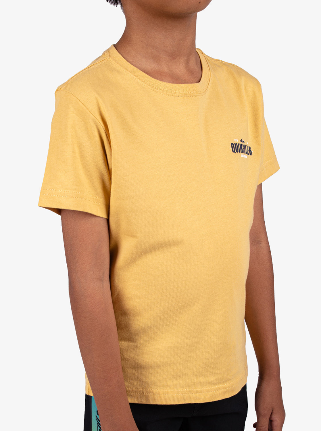 Boys 2-7 Coastal Crest T-Shirt - Quiksilver Singapore 
