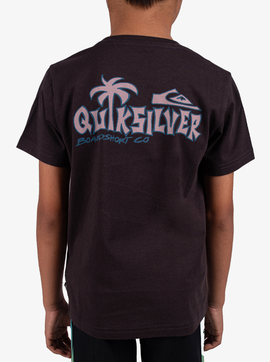 Boys 2-7 Palm Relax T-Shirt - Quiksilver Singapore 
