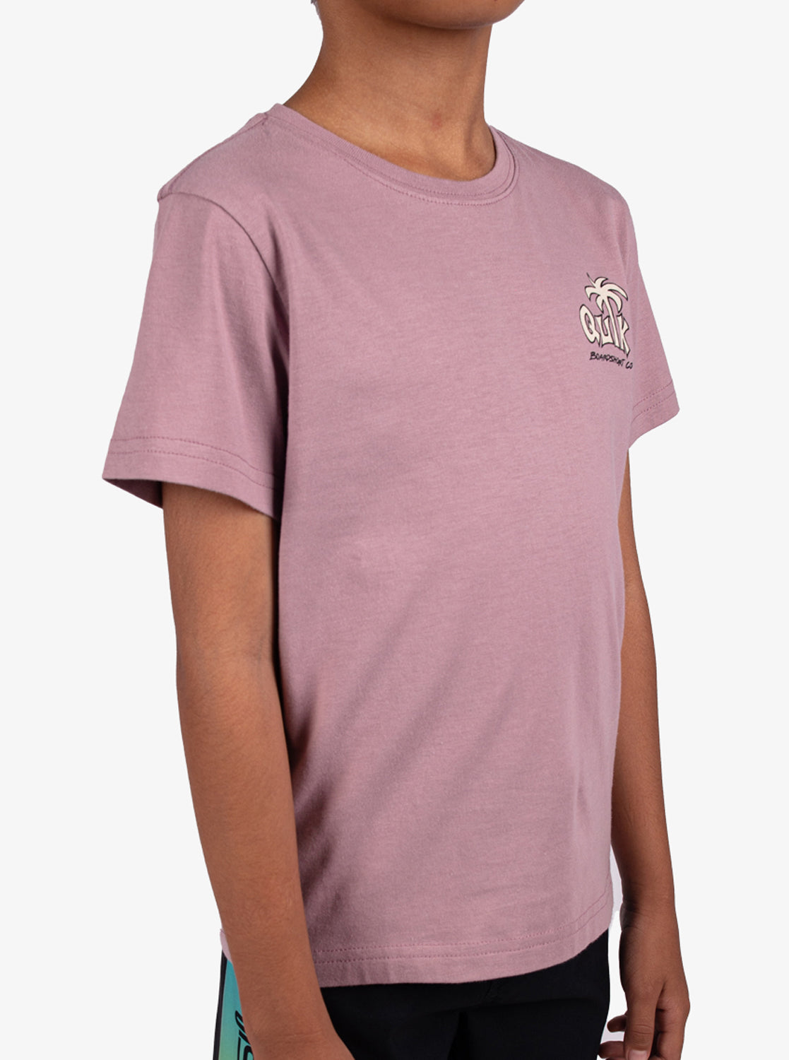 Boys 2-7 Palm Relax T-Shirt - Quiksilver Singapore 