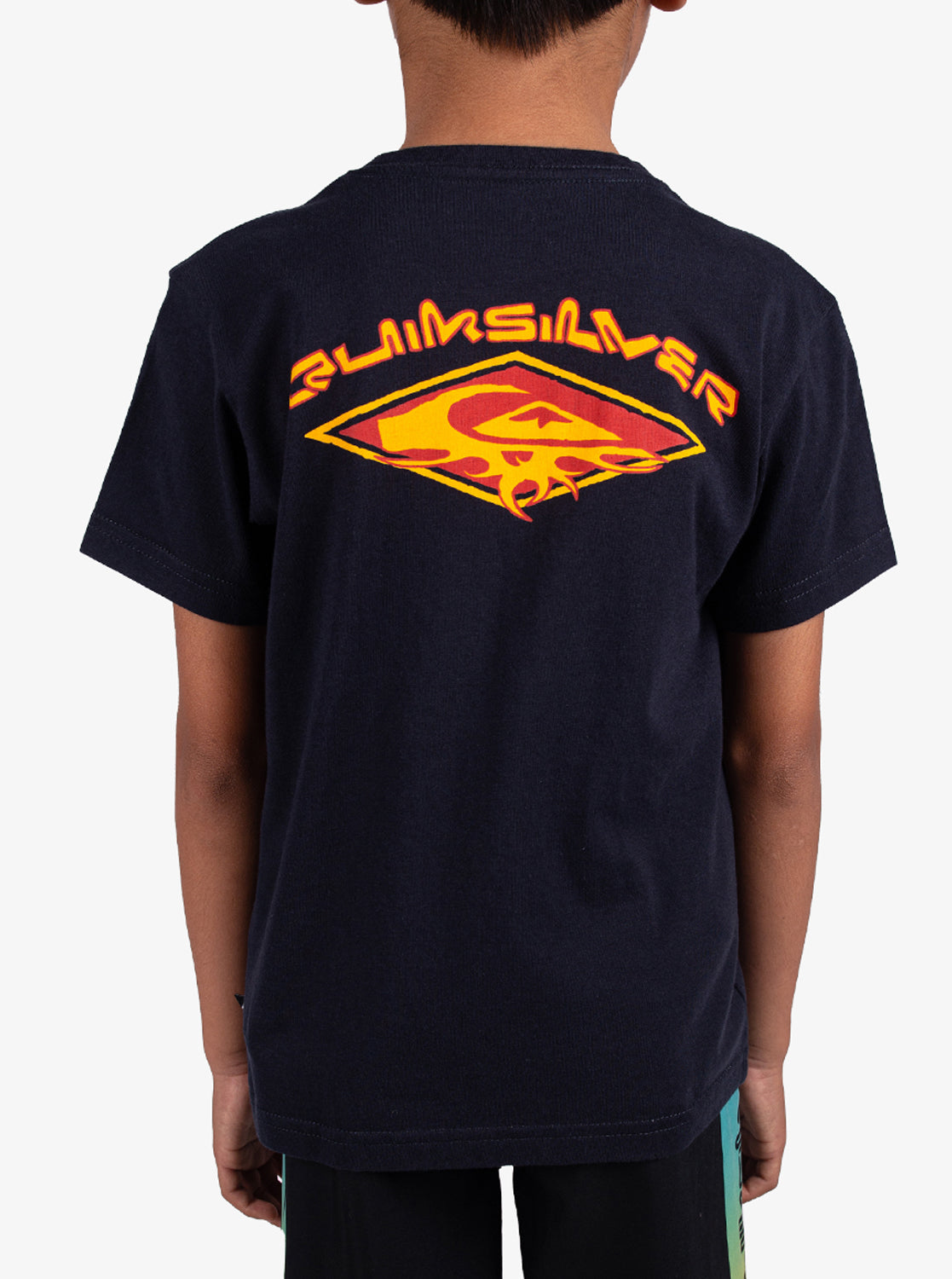 Boys 2-7 Thorn Arch T-Shirt - Quiksilver Singapore 