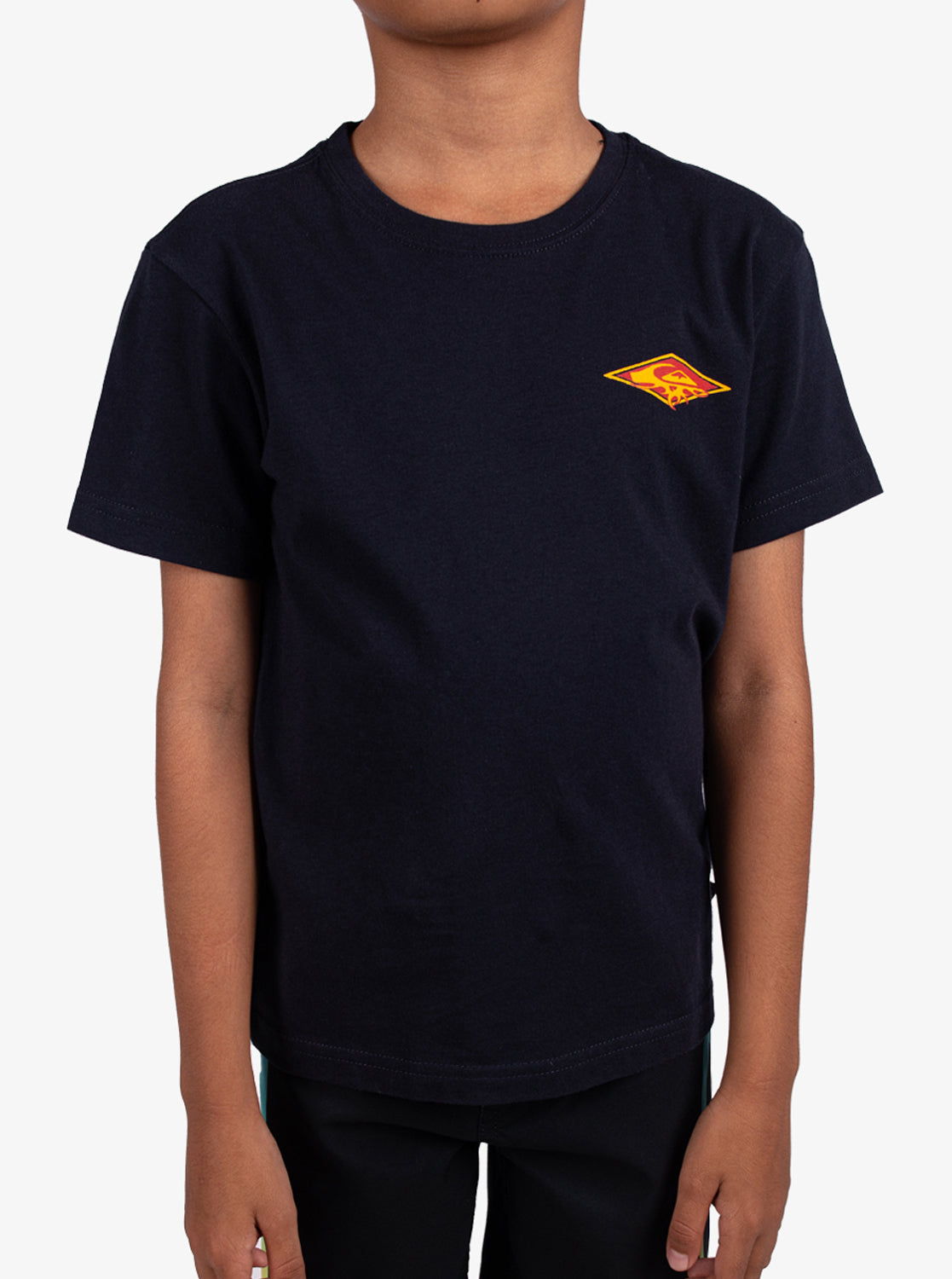 Boys 2-7 Thorn Arch T-Shirt - Quiksilver Singapore 