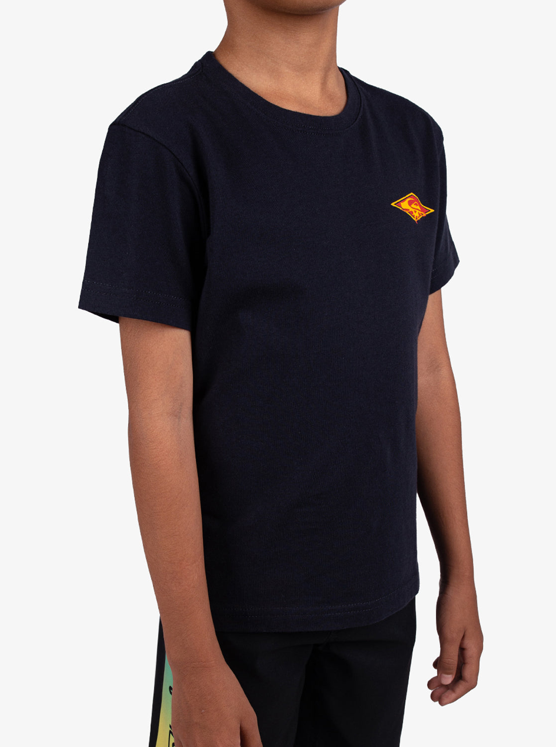 Boys 2-7 Thorn Arch T-Shirt - Quiksilver Singapore 