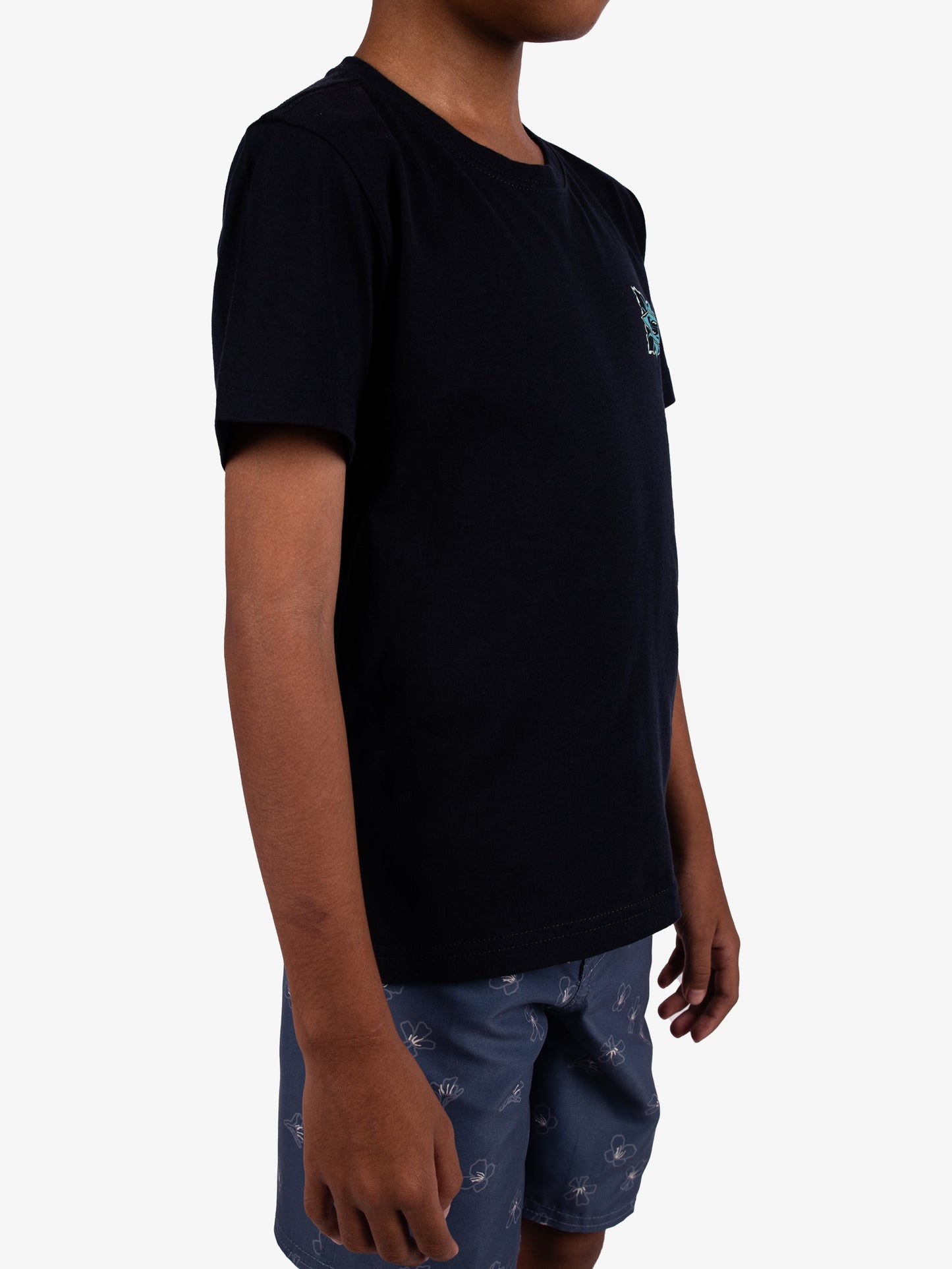 Boys 2-7 Starfish Stamp T-Shirt - Quiksilver Singapore 