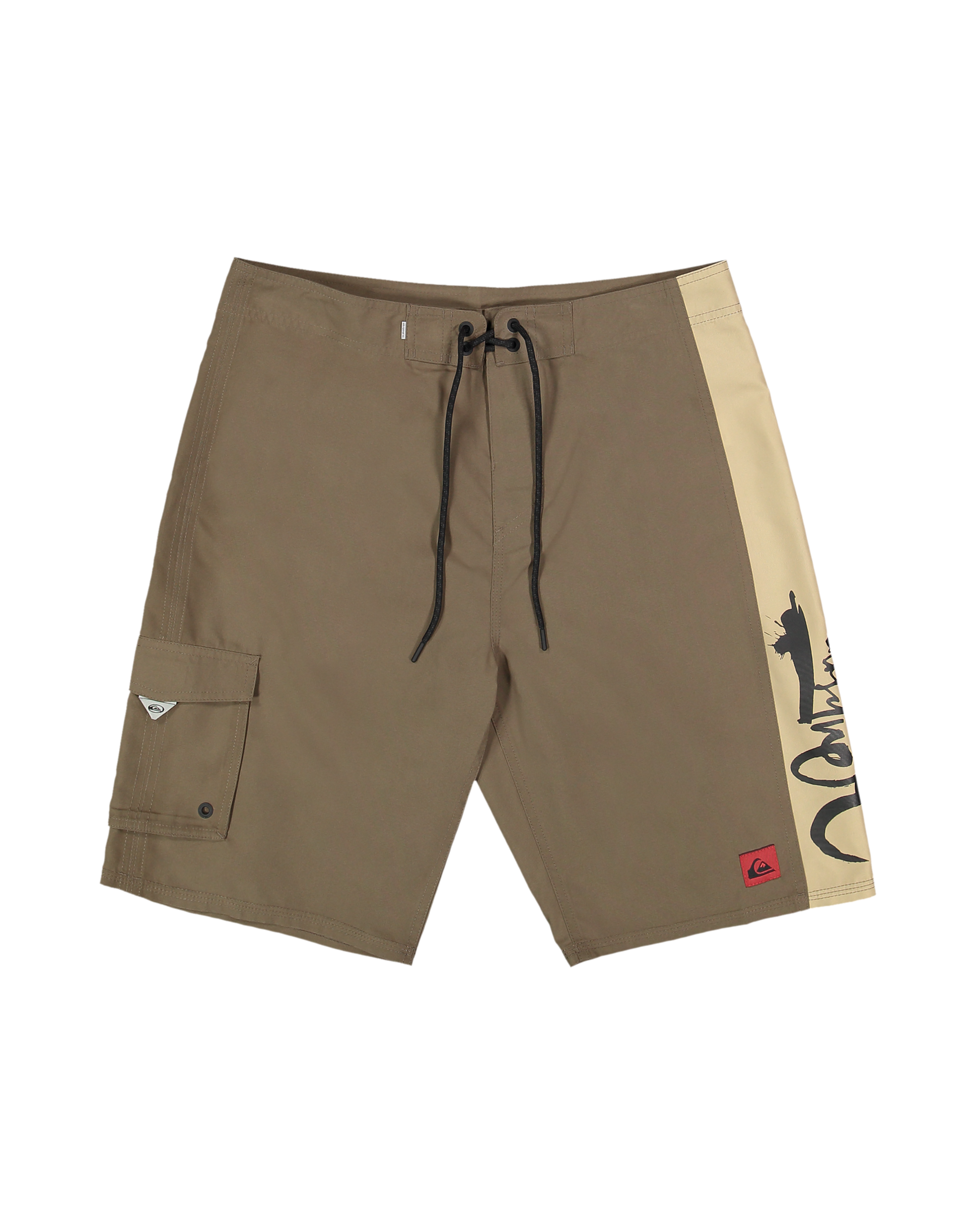 Mens Impaired Panel 21" Boardshorts - Quiksilver Singapore 