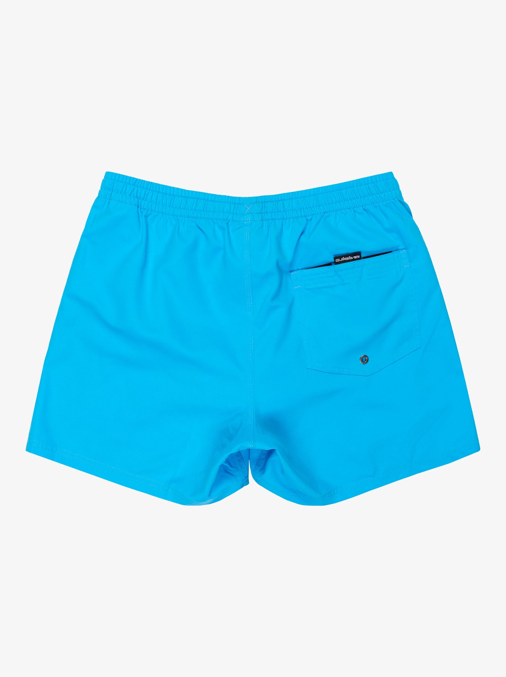 Mens Everyday Solid ID Volley 15" Boardshorts - Quiksilver Singapore 
