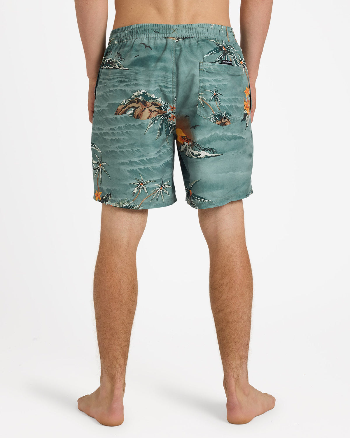 Mens Everyday Printed 17 Inch Volley Shorts
