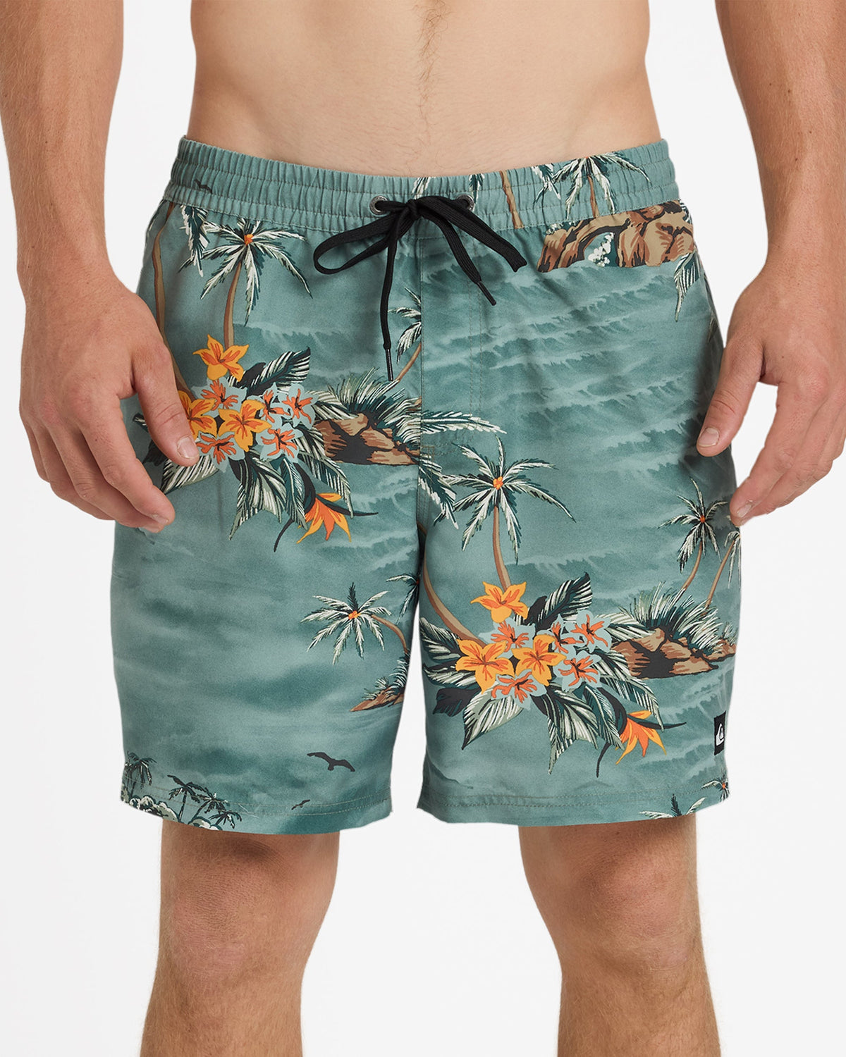 Mens Everyday Printed 17 Inch Volley Shorts