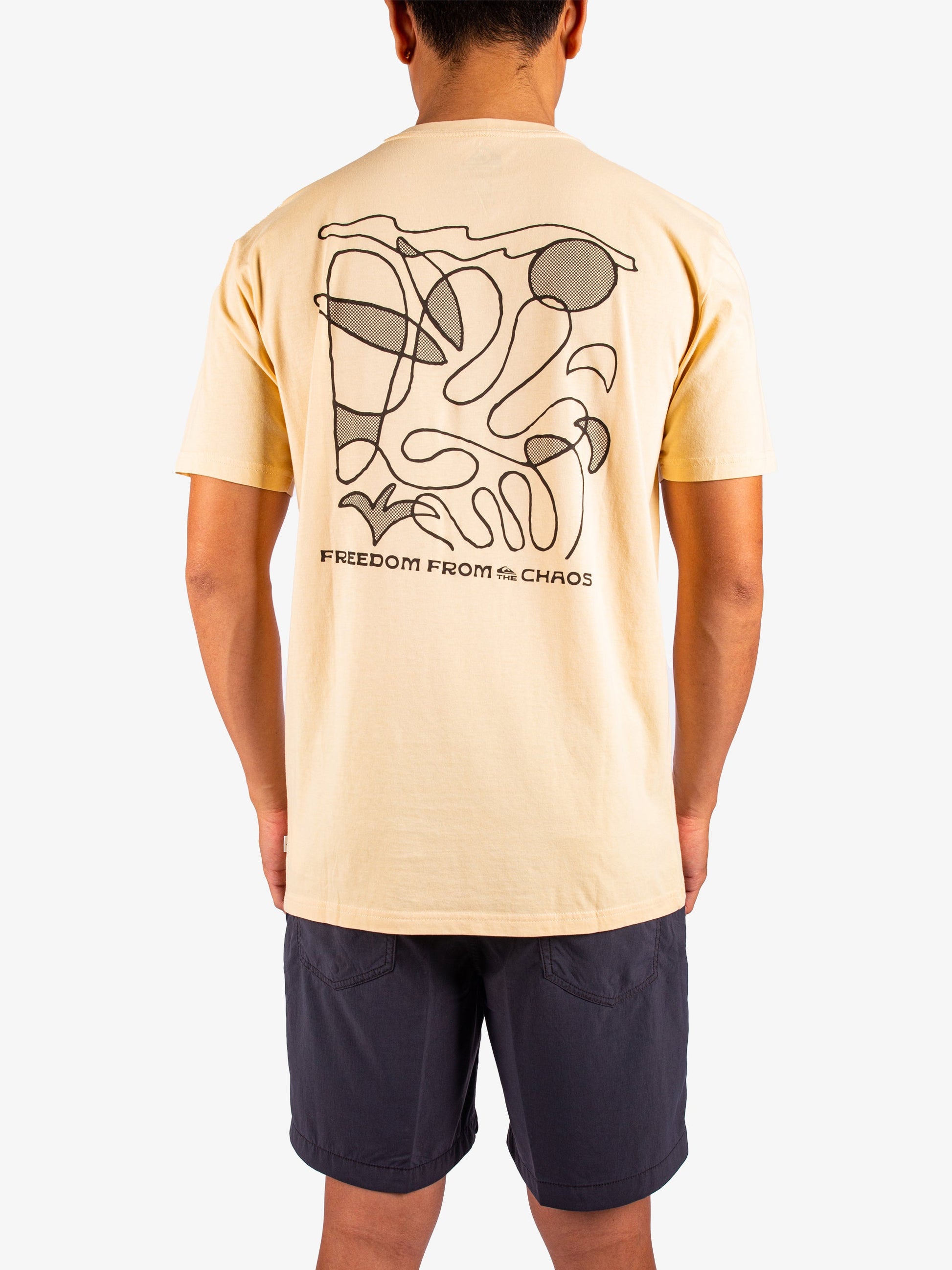 Mens Evo Abstract Chaos T-Shirt - Quiksilver Singapore 