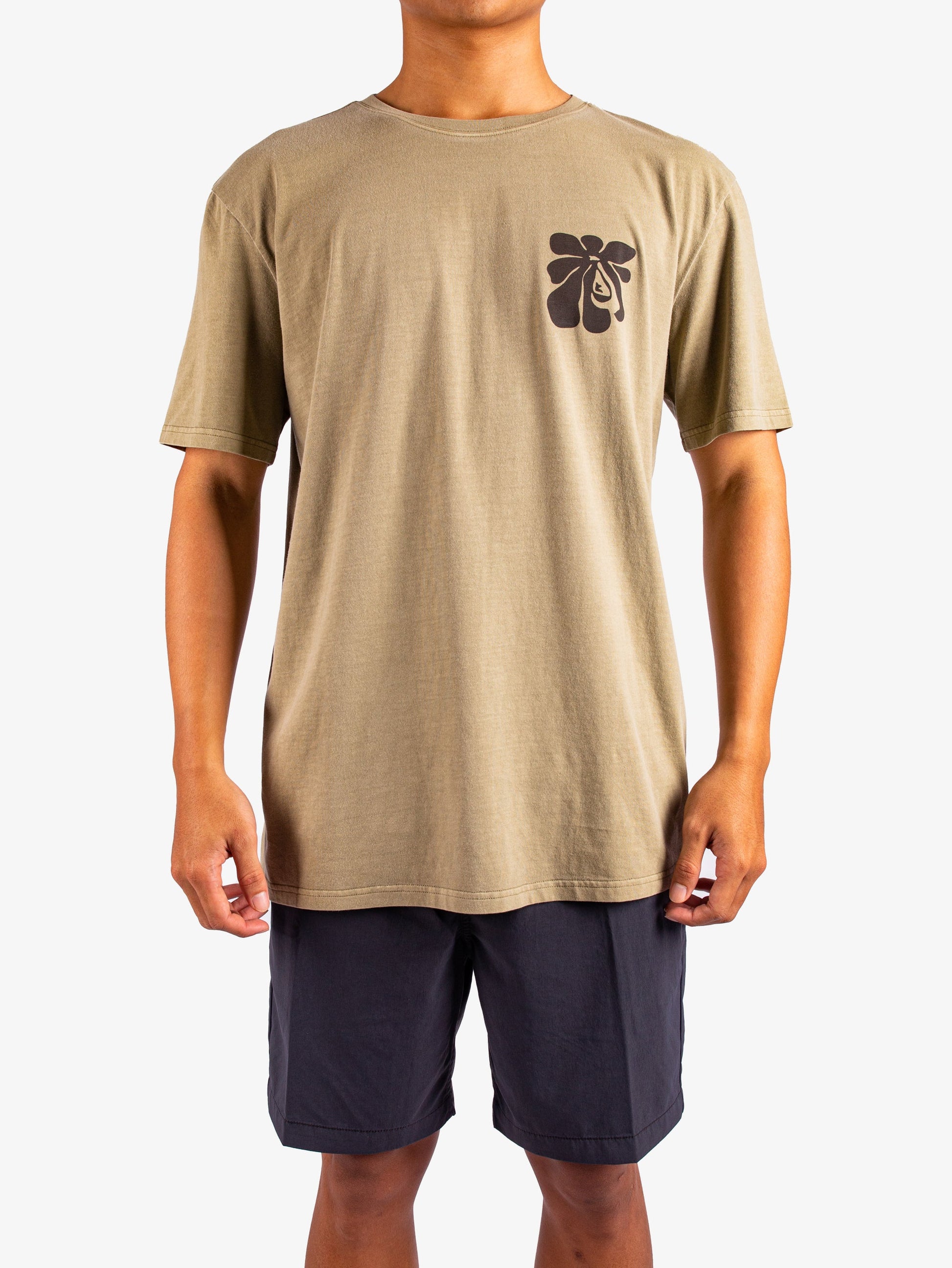 Mens Evo Interconnected ID T-Shirt - Quiksilver Singapore 