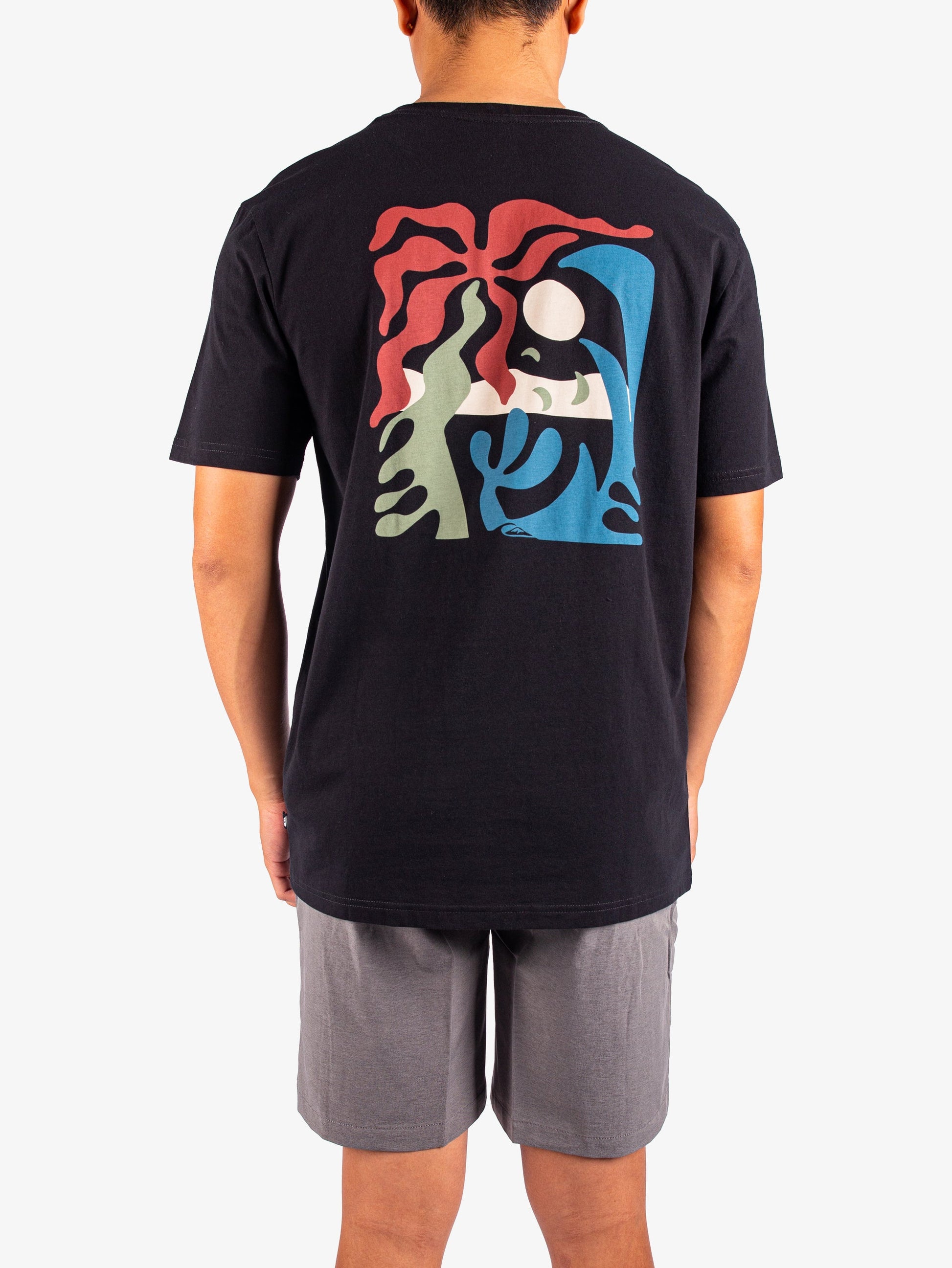 Mens Everyday Paradise T-Shirt - Quiksilver Singapore 