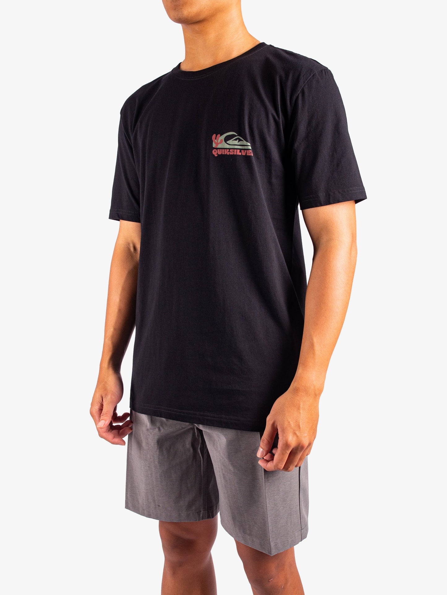 Mens Everyday Paradise T-Shirt - Quiksilver Singapore 