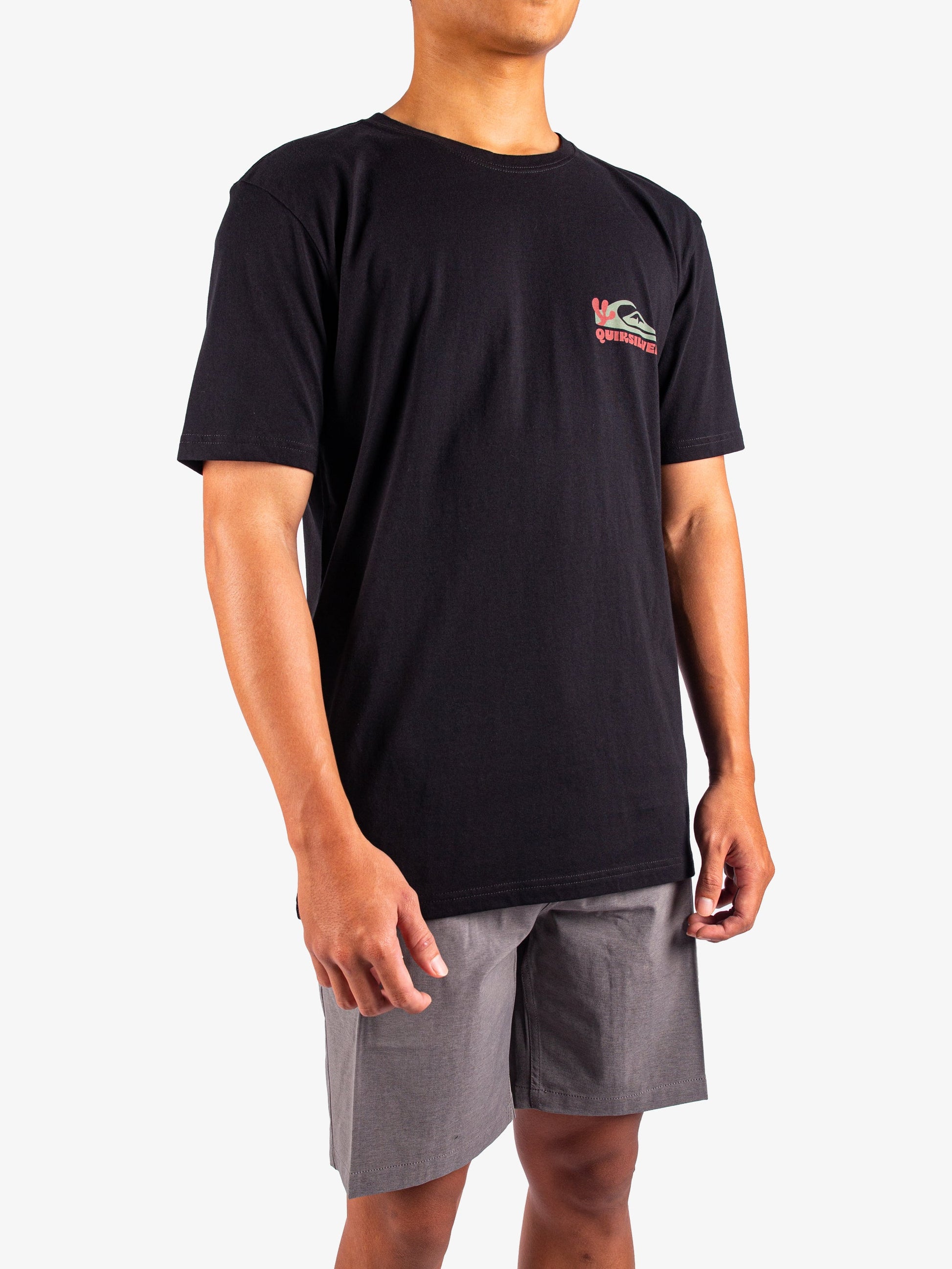 Mens Everyday Paradise T-Shirt - Quiksilver Singapore 