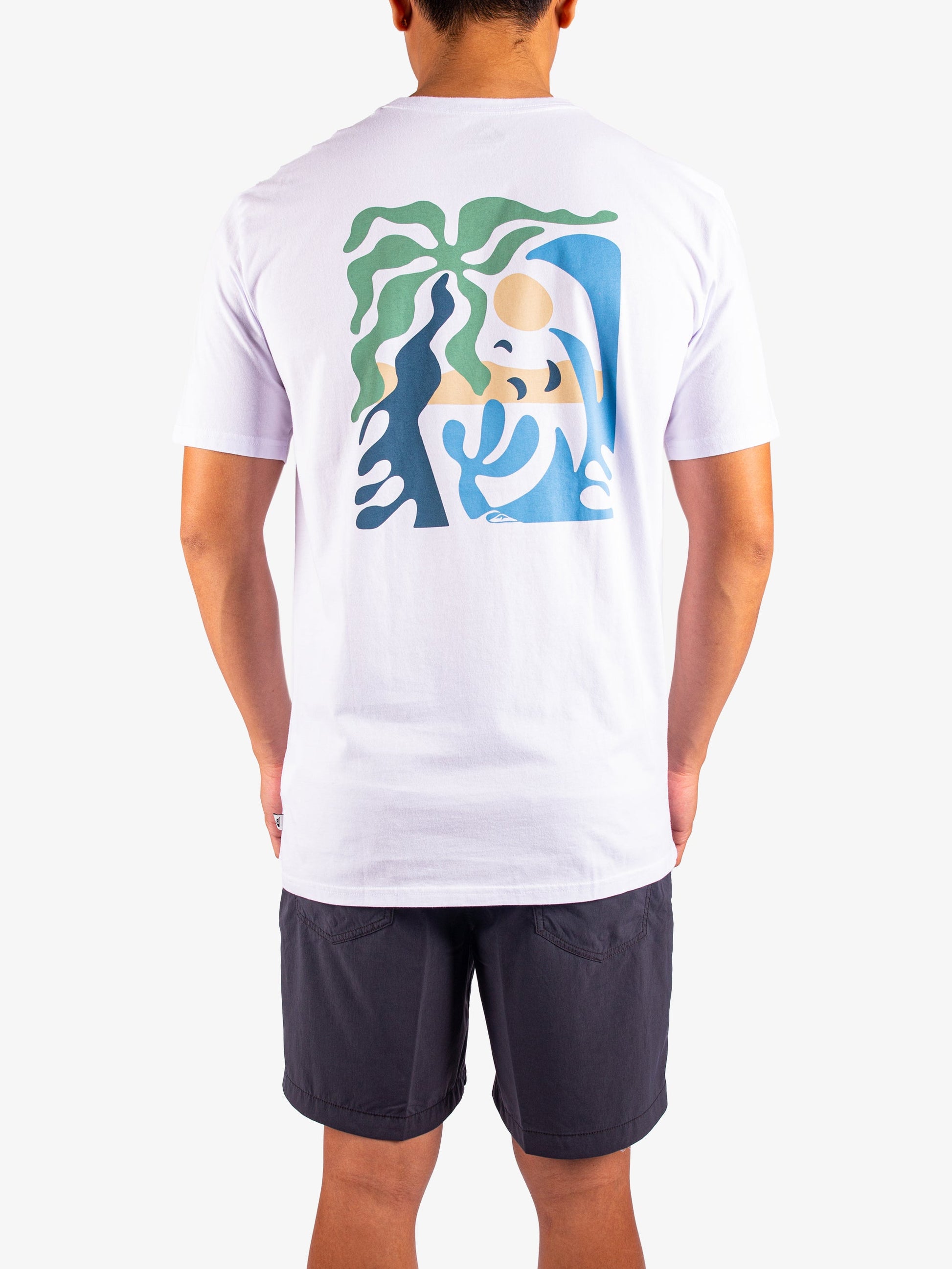 Mens Everyday Paradise T-Shirt - Quiksilver Singapore 