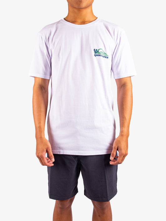 Mens Everyday Paradise T-Shirt - Quiksilver Singapore 