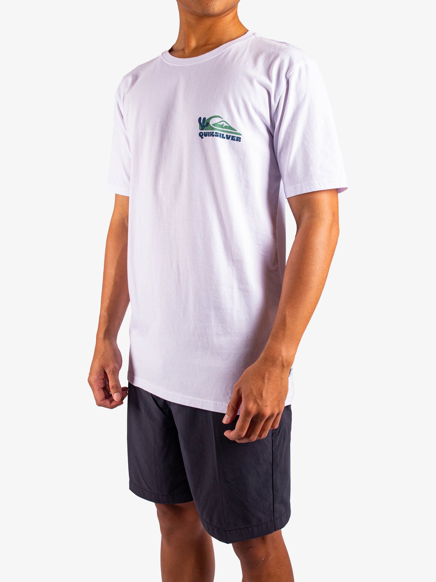 Mens Everyday Paradise T-Shirt - Quiksilver Singapore 