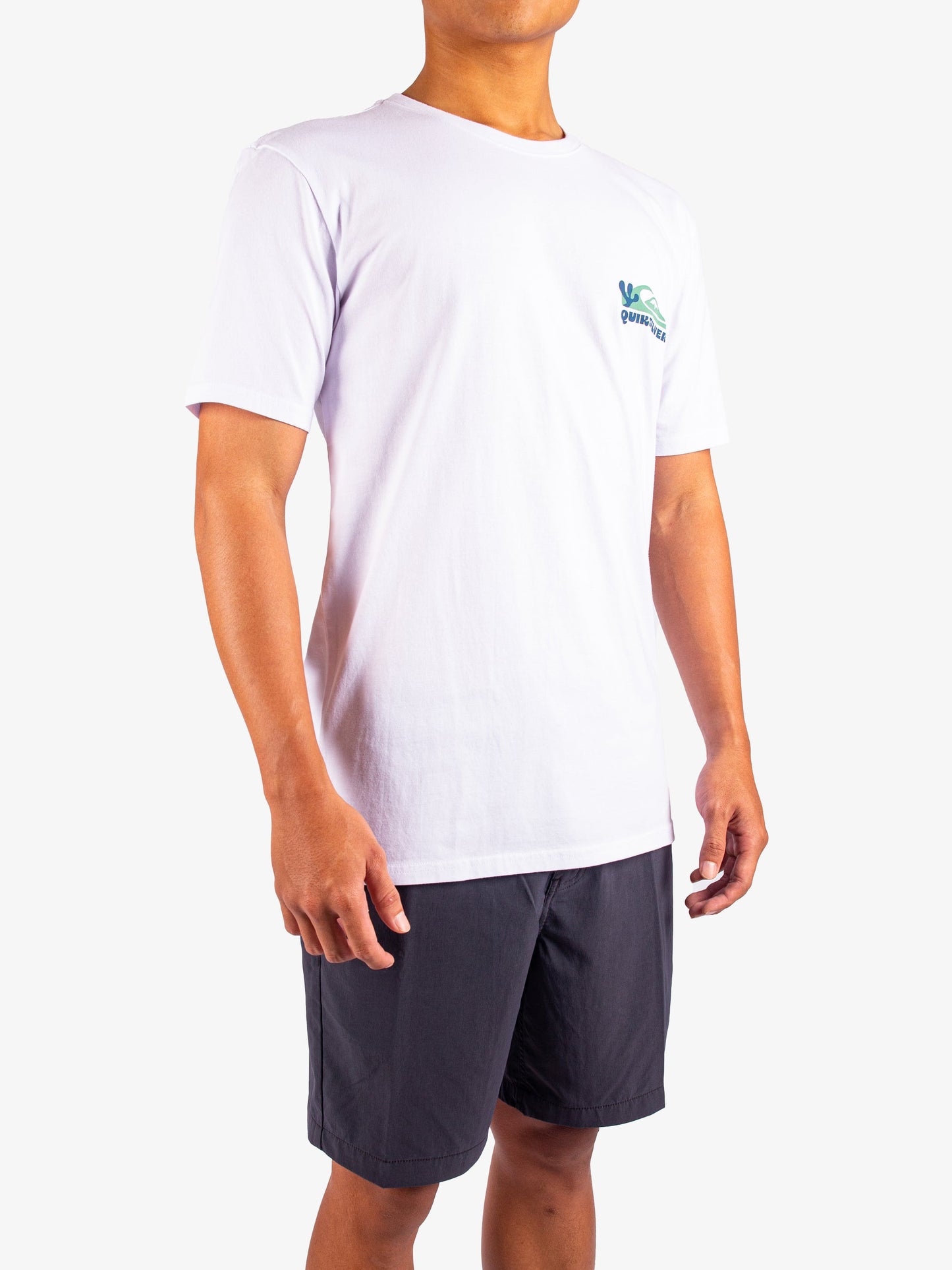 Mens Everyday Paradise T-Shirt - Quiksilver Singapore 