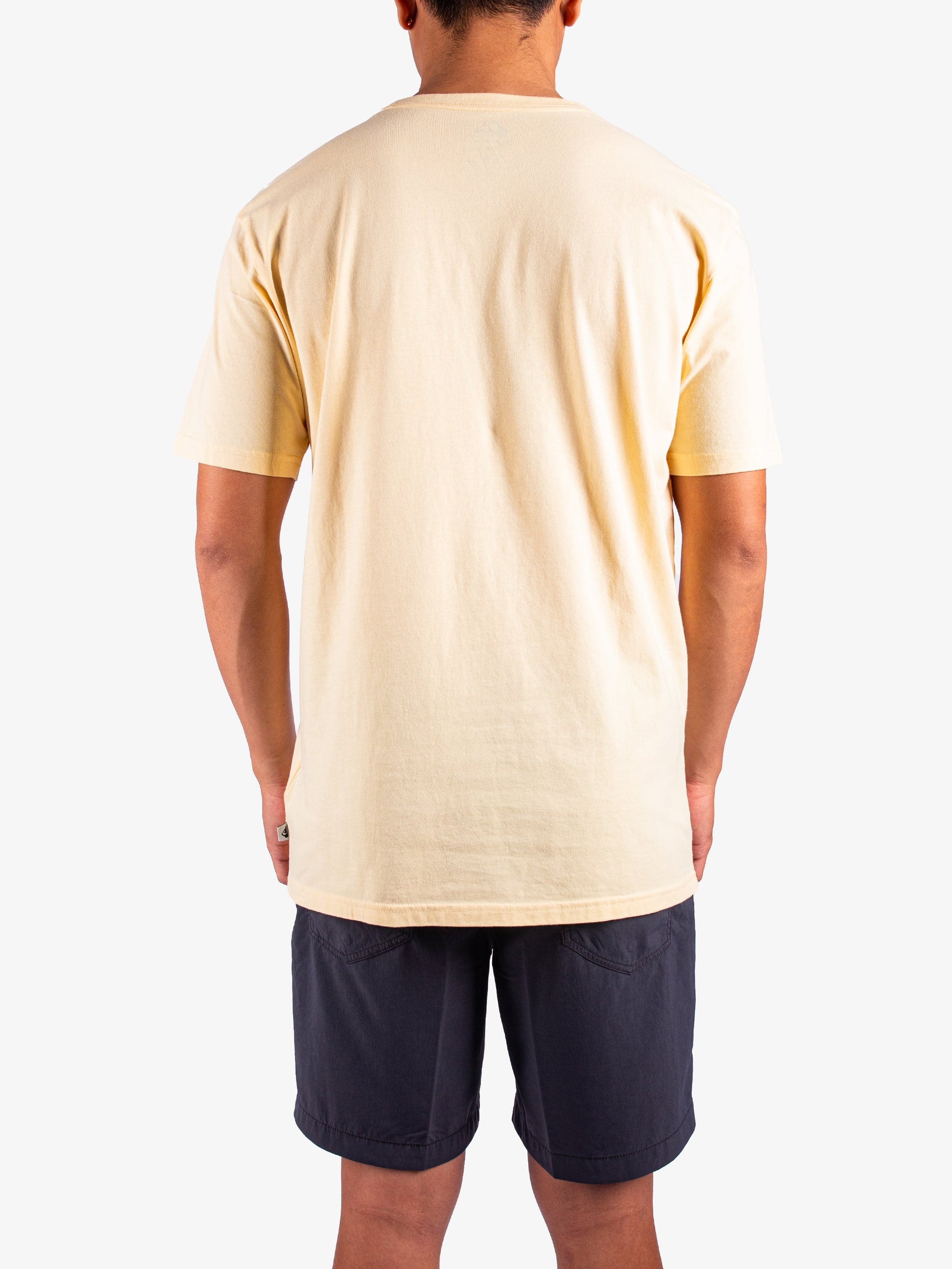 Mens Bloomy Short Sleeve T-Shirt - Quiksilver Singapore 