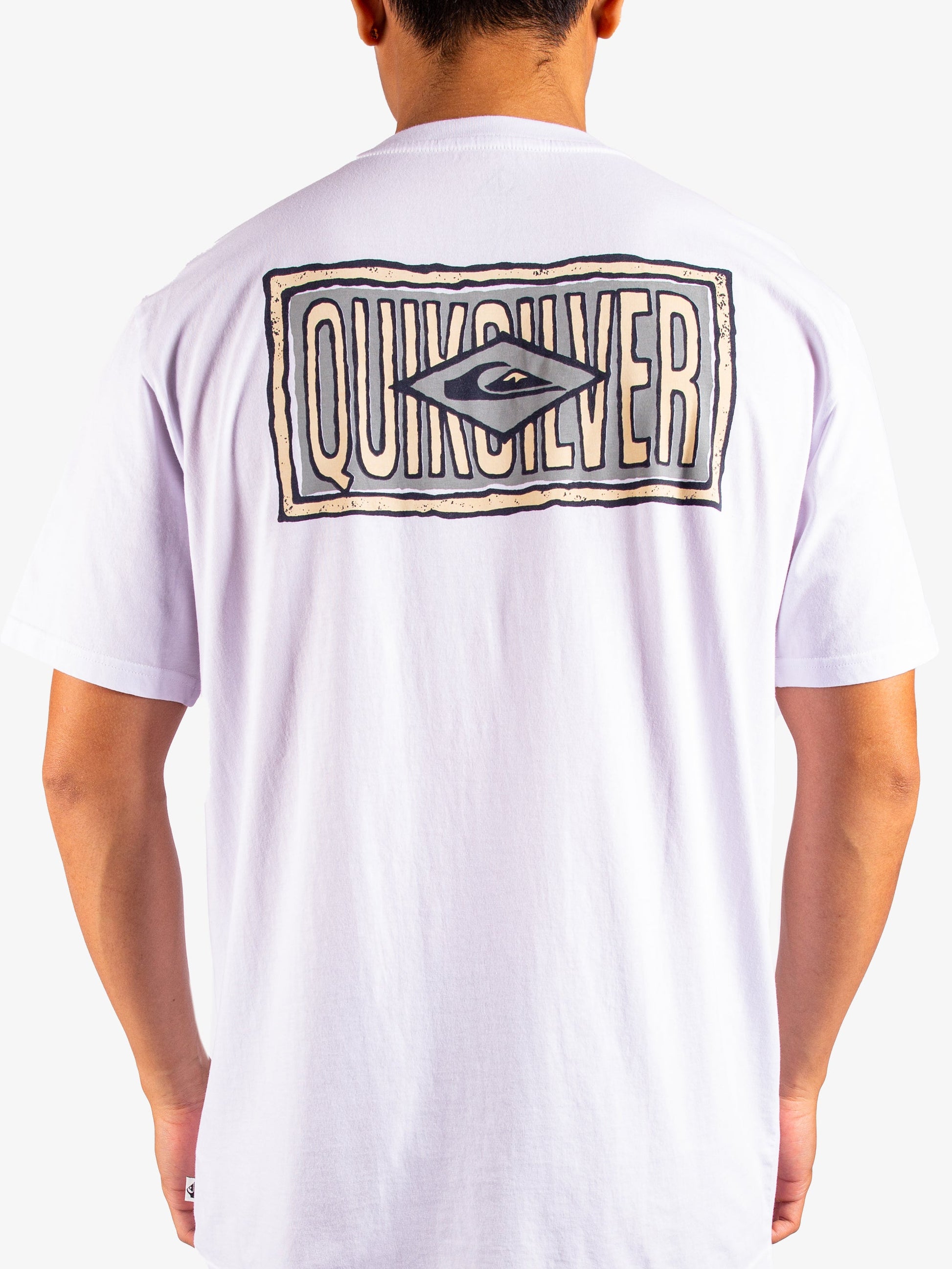 Mens Mind Temple Short Sleeve T-Shirt - Quiksilver Singapore 