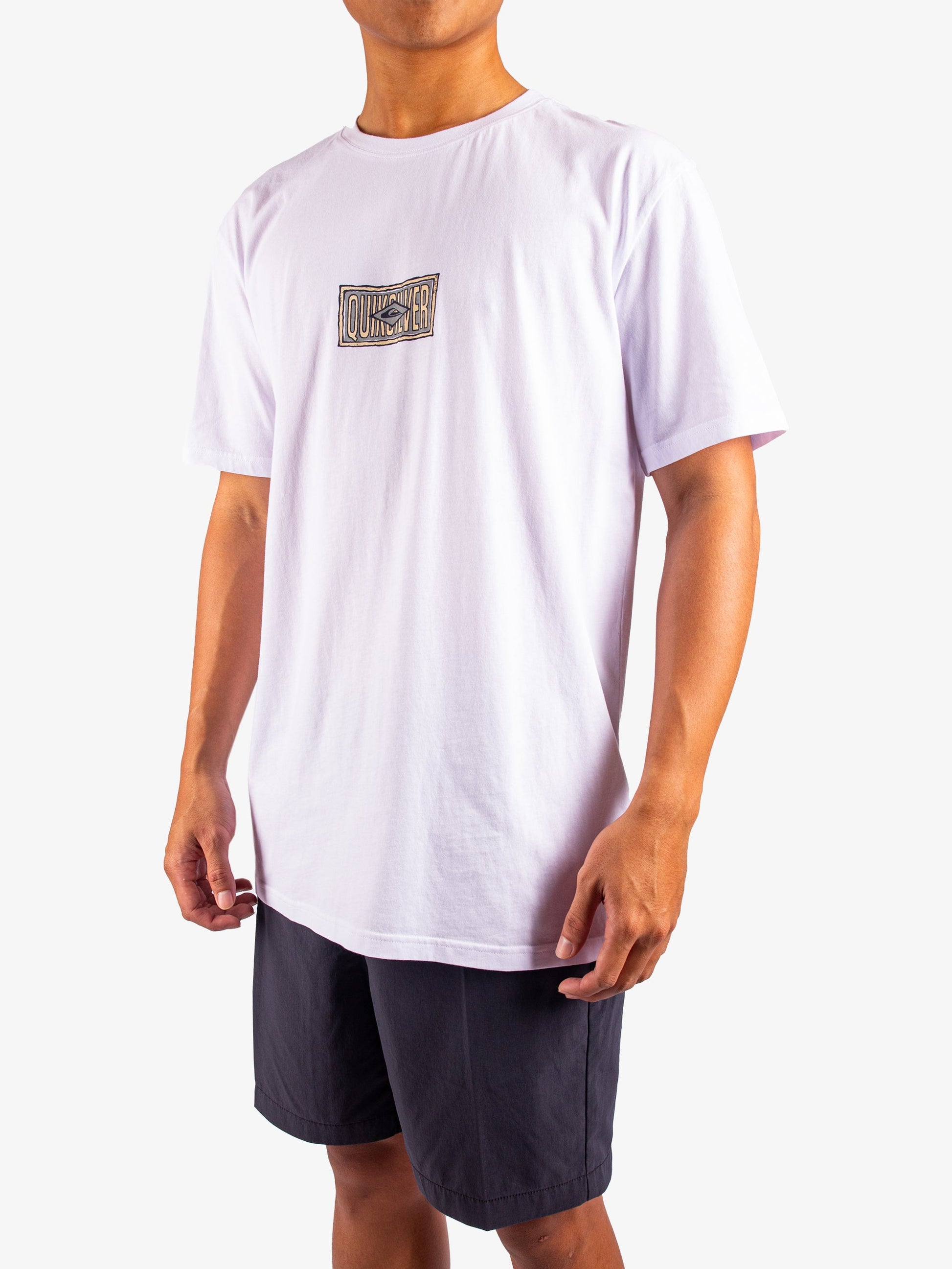 Mens Mind Temple Short Sleeve T-Shirt - Quiksilver Singapore 