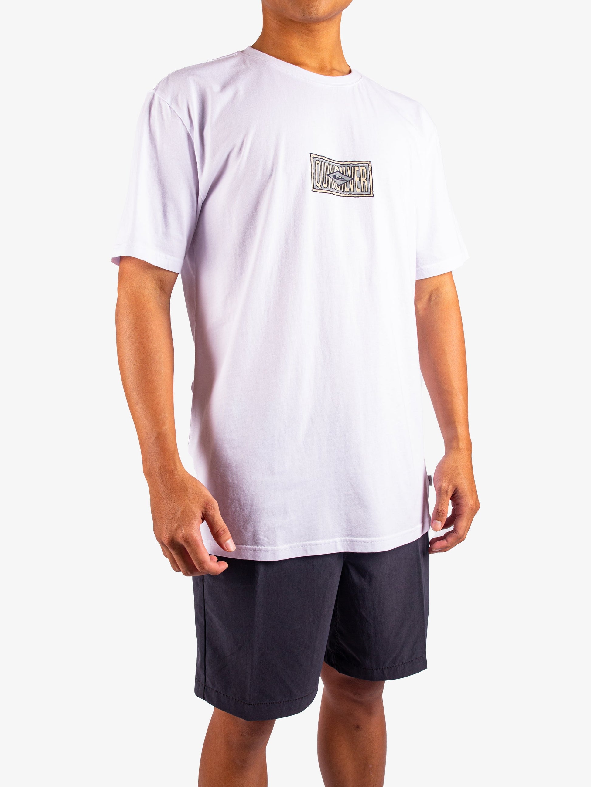 Mens Mind Temple Short Sleeve T-Shirt - Quiksilver Singapore 
