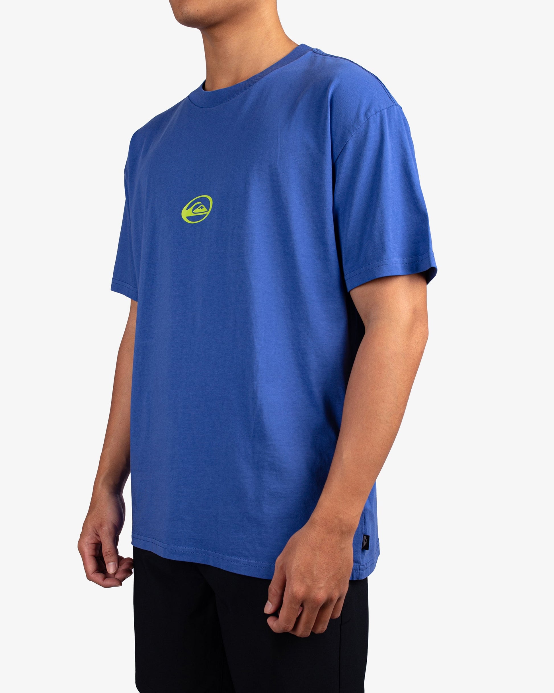 Mens Renegade T-Shirt - Quiksilver Singapore 