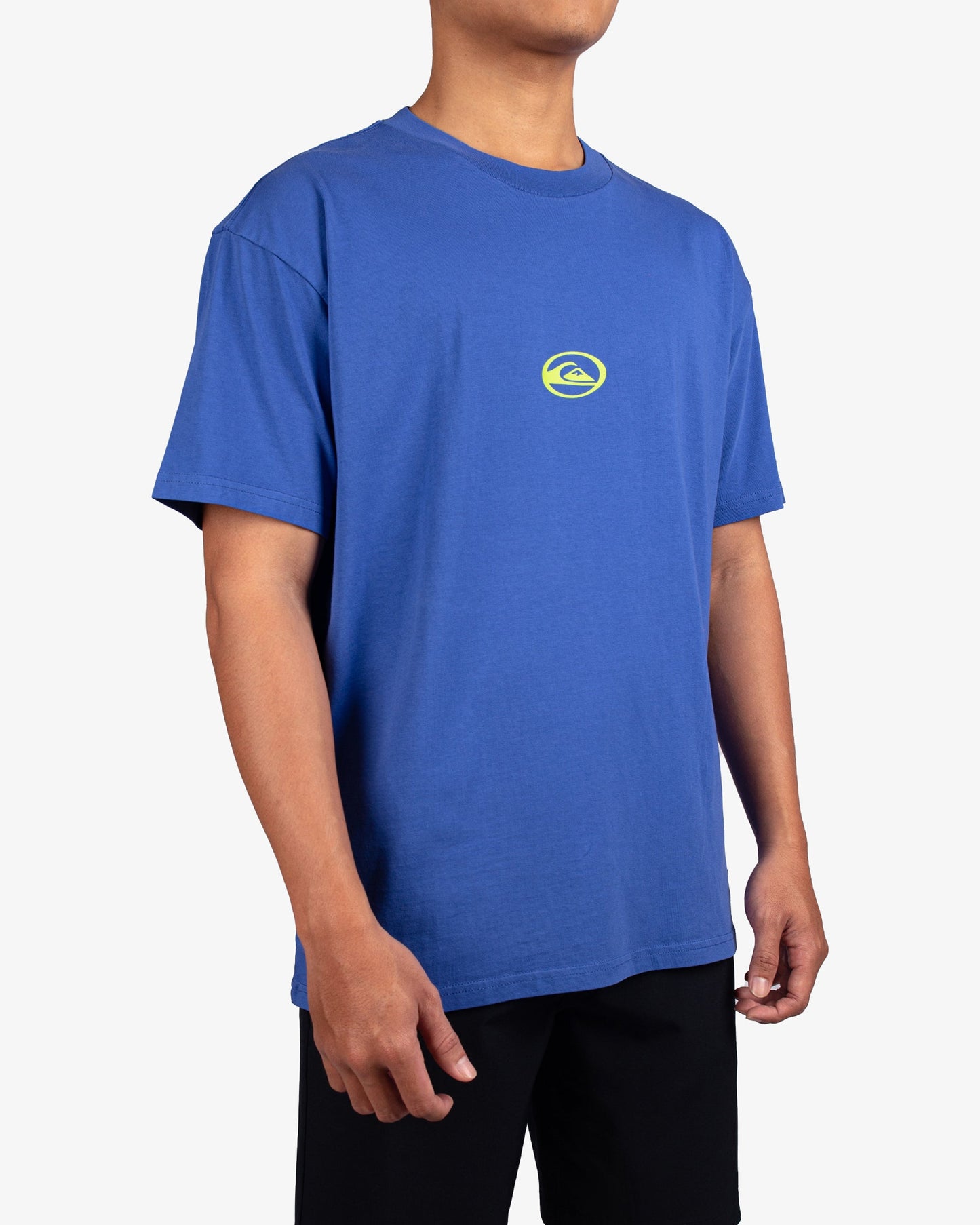 Mens Renegade T-Shirt - Quiksilver Singapore 