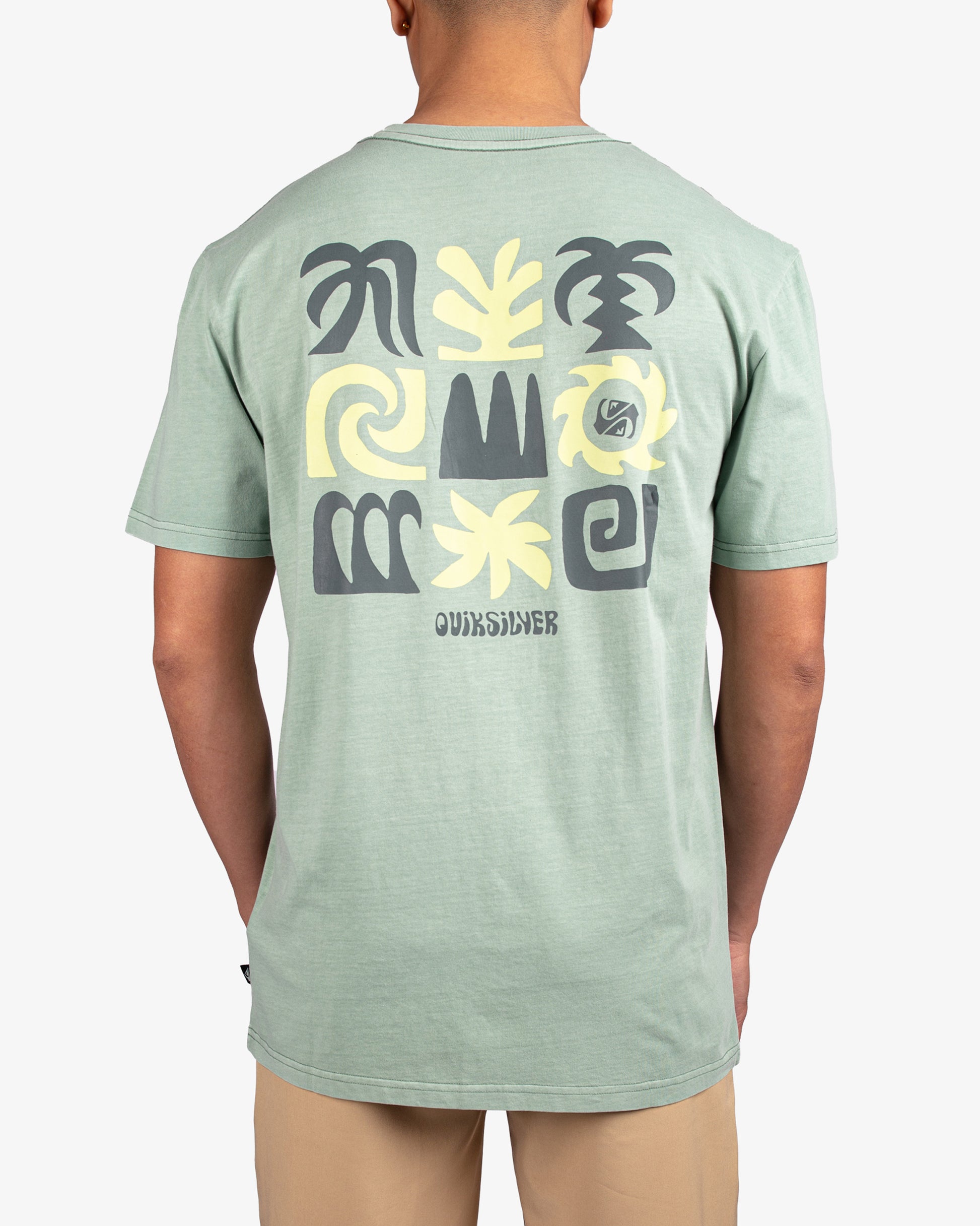 Mens Tropical Flow T-Shirt - Quiksilver Singapore 