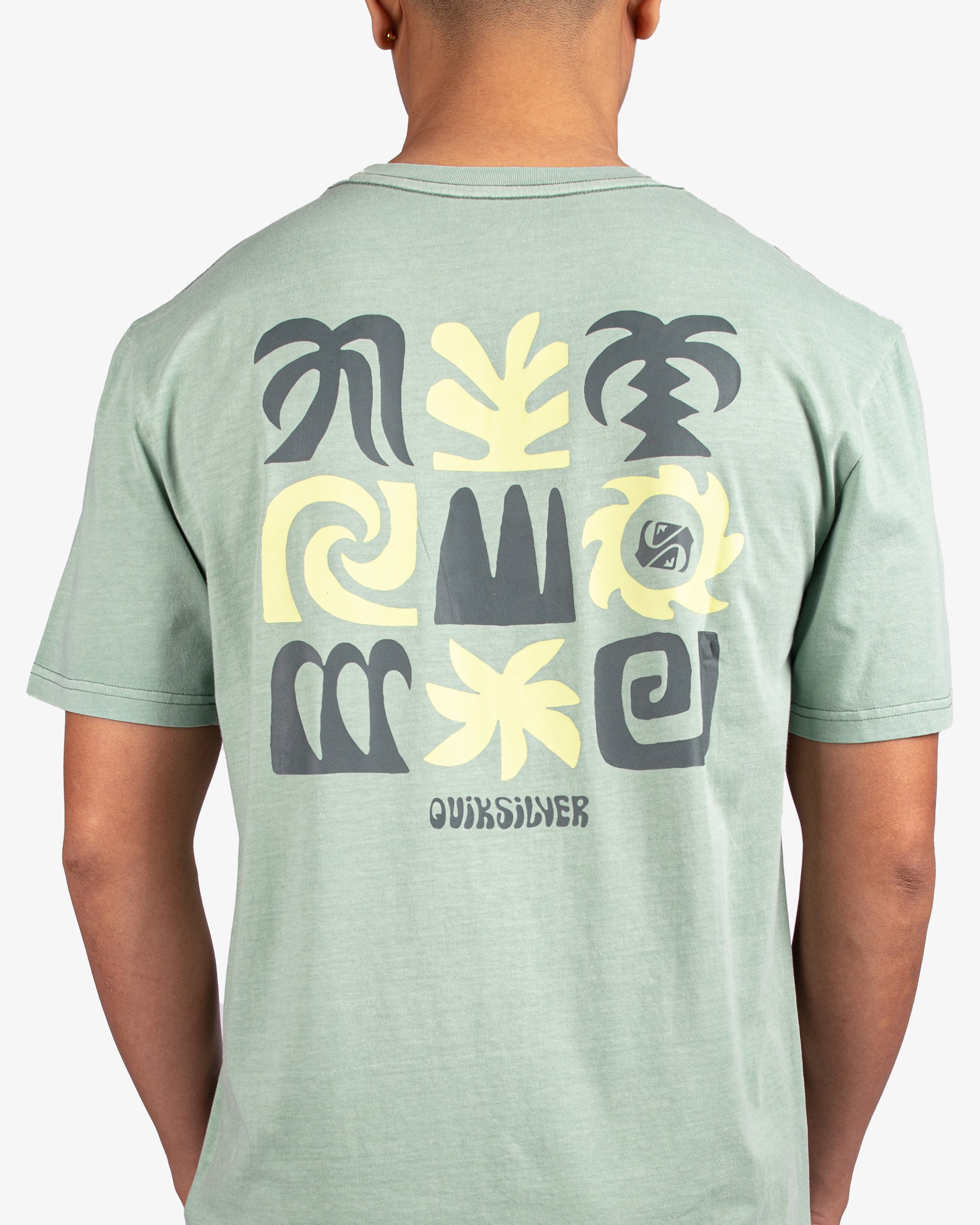 Mens Tropical Flow T-Shirt - Quiksilver Singapore 