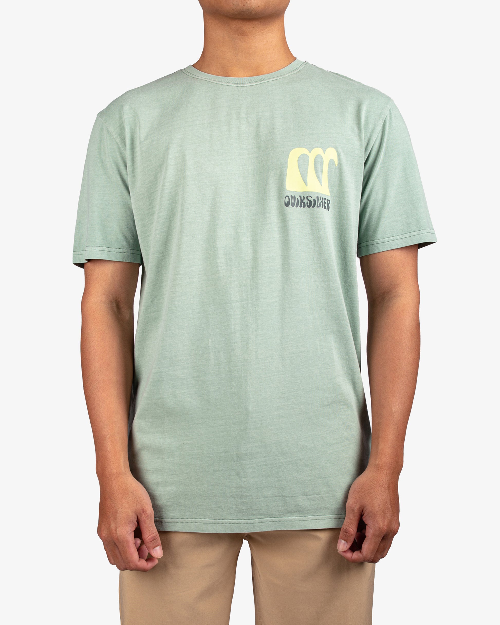 Mens Tropical Flow T-Shirt - Quiksilver Singapore 