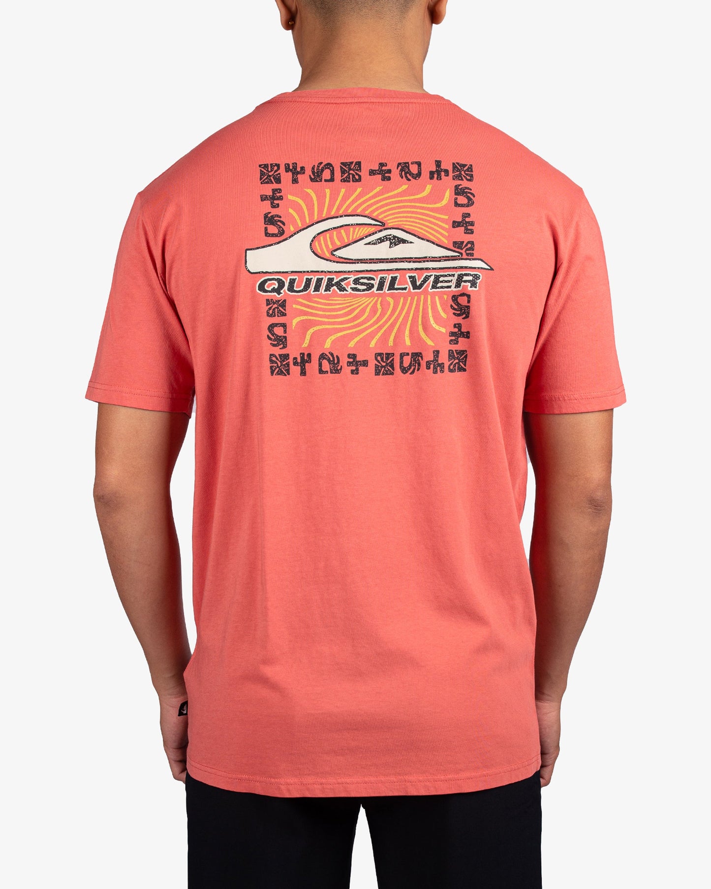 Mens Nature Border T-Shirt - Quiksilver Singapore 