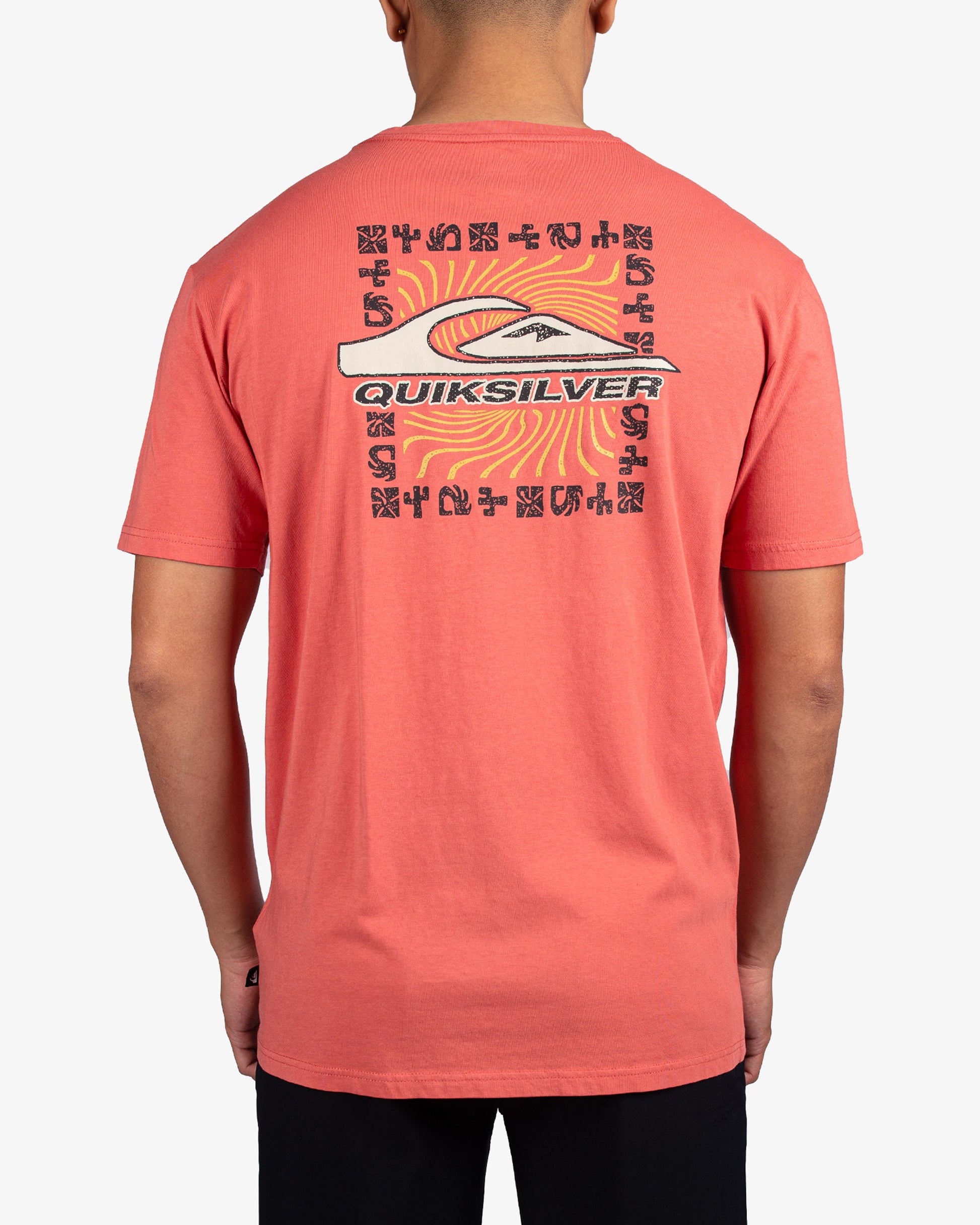 Mens Nature Border T-Shirt - Quiksilver Singapore 