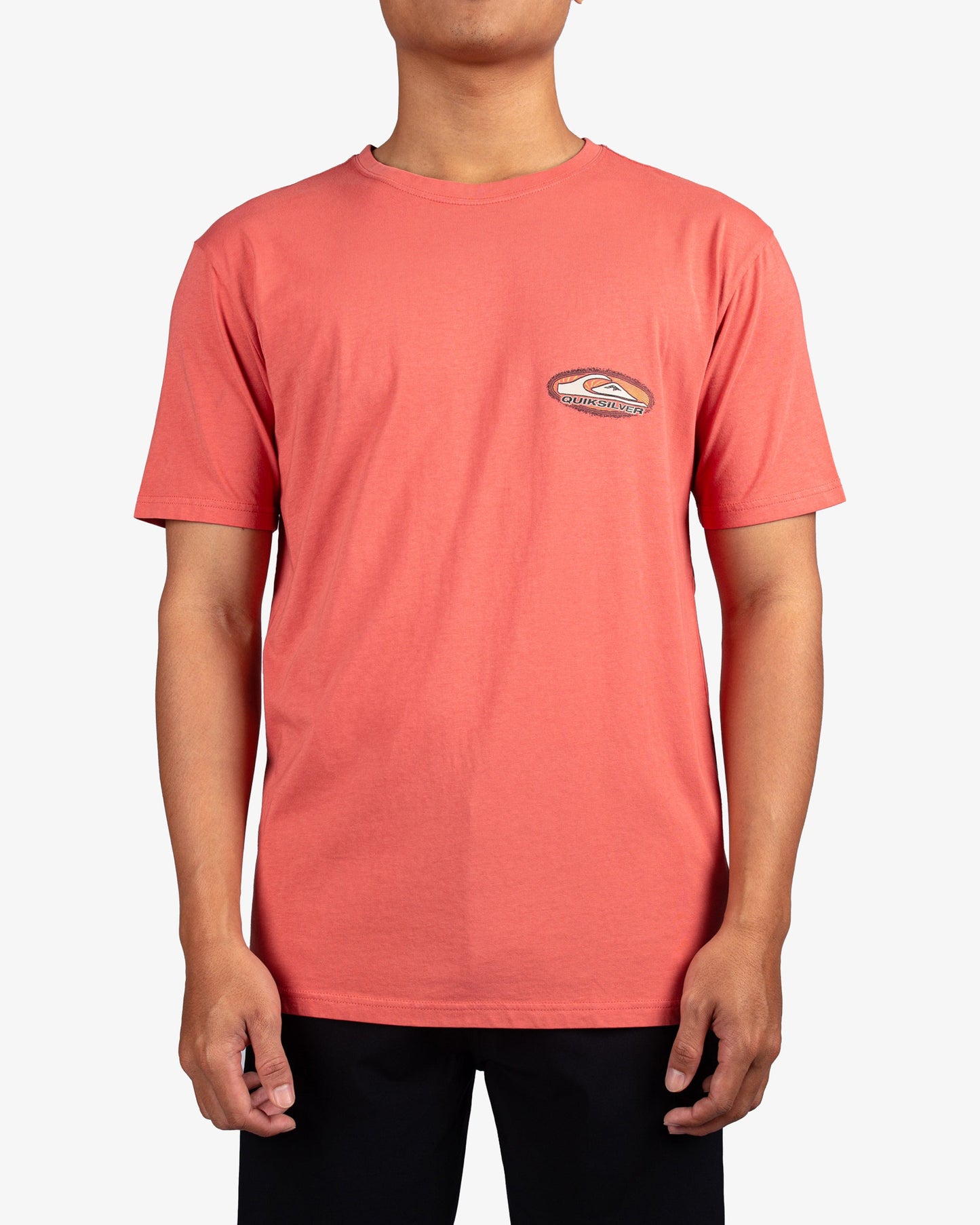Mens Nature Border T-Shirt - Quiksilver Singapore 